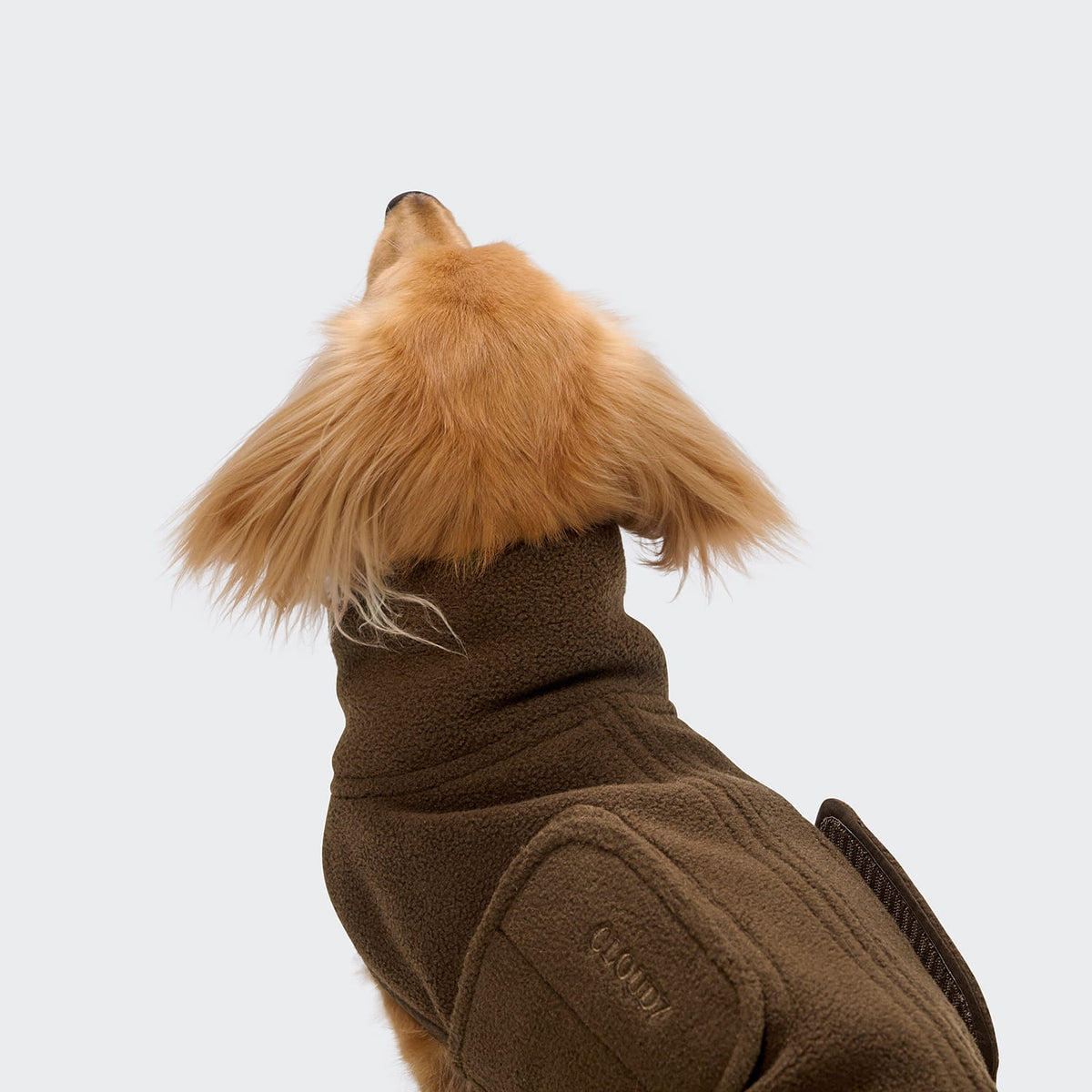 Cloud7 Hundepullover DACKEL Derby 2.0 Coffee Dackelpullover