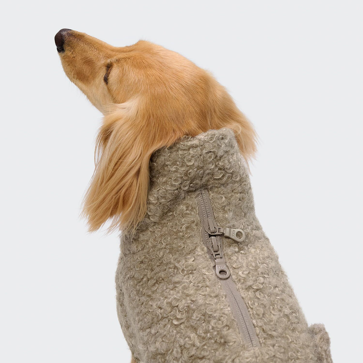 Cloud7 Hundepullover DACKEL Gotland Sandy Brown Hundemantel Dackel