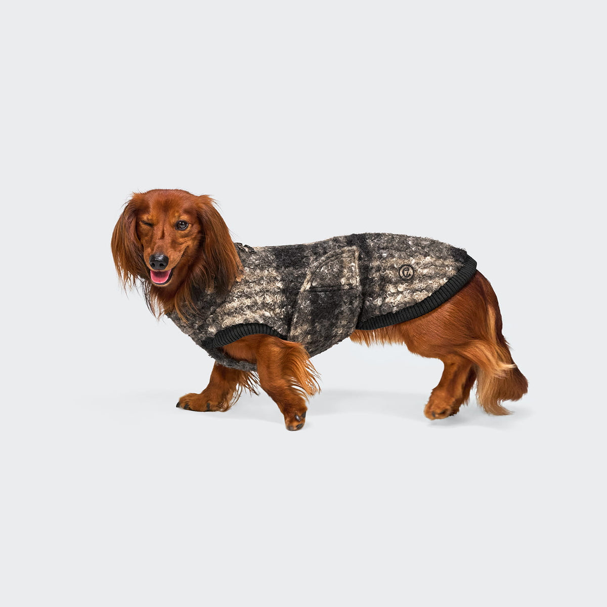 Cloud7 Hundepullover DACKEL Gotland Tartan Hundewintermantel