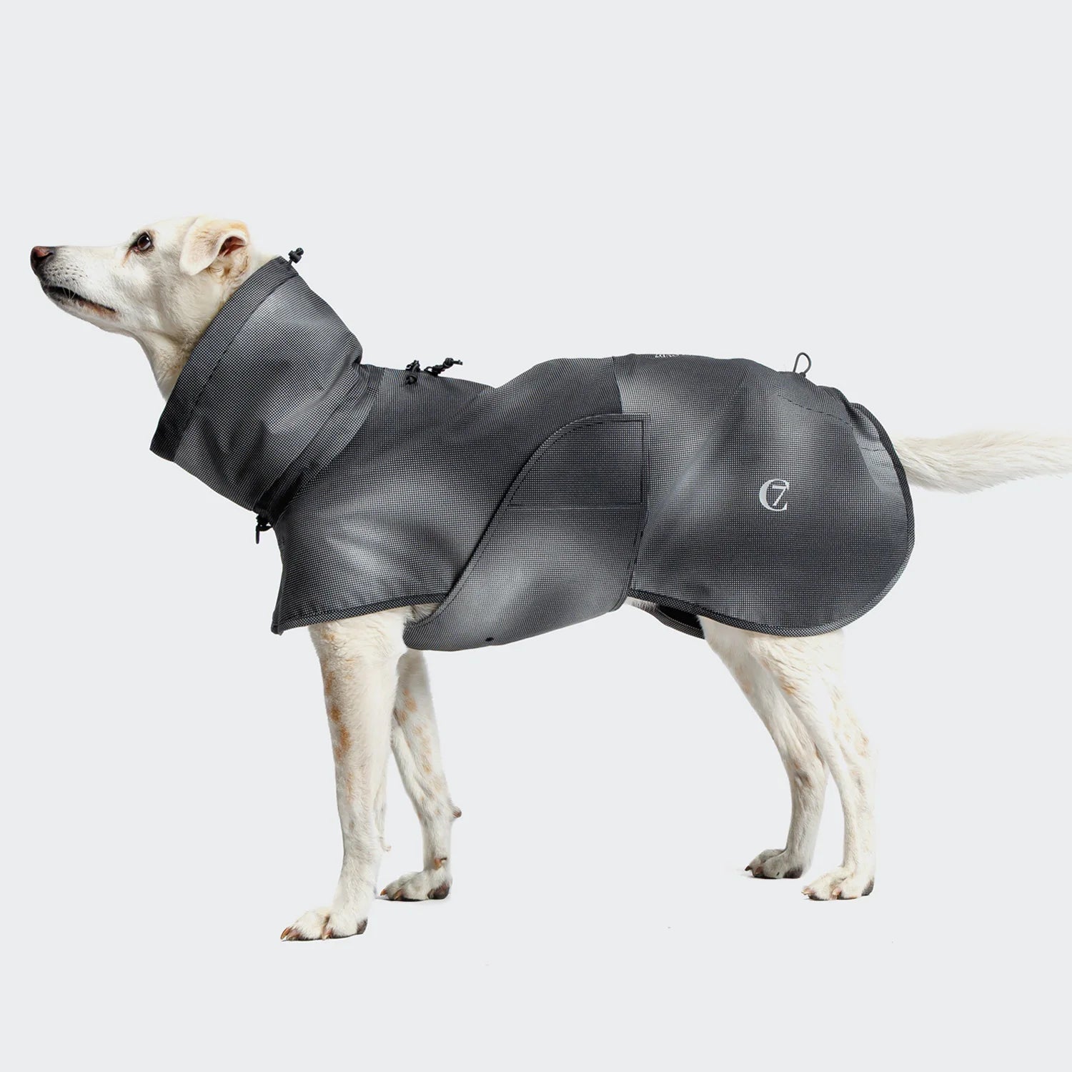 Cloud7 Hunderegenmantel Aktiv Black Hunderegenmantel Sport mit Hund