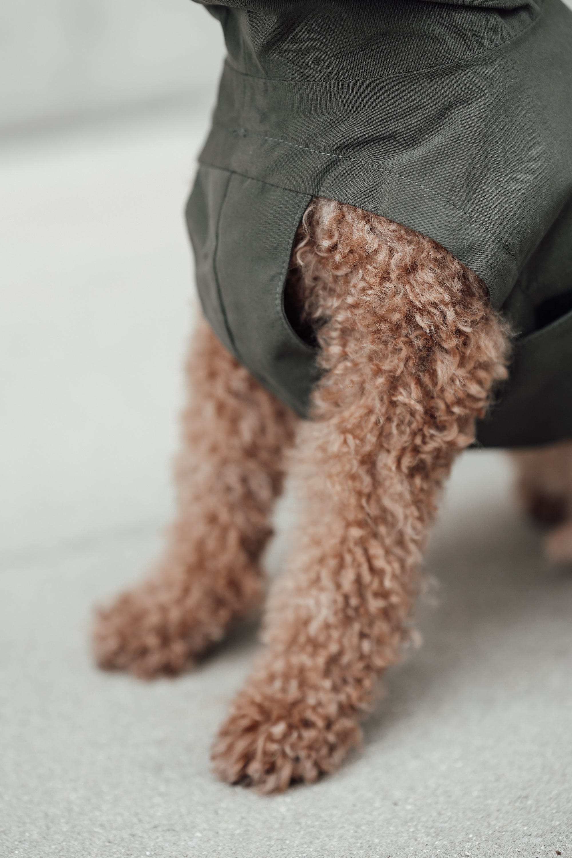 Cloud7 Hunderegenmantel Dublin Dark Olive Regenmantel für Hunde Hund Regenmantel