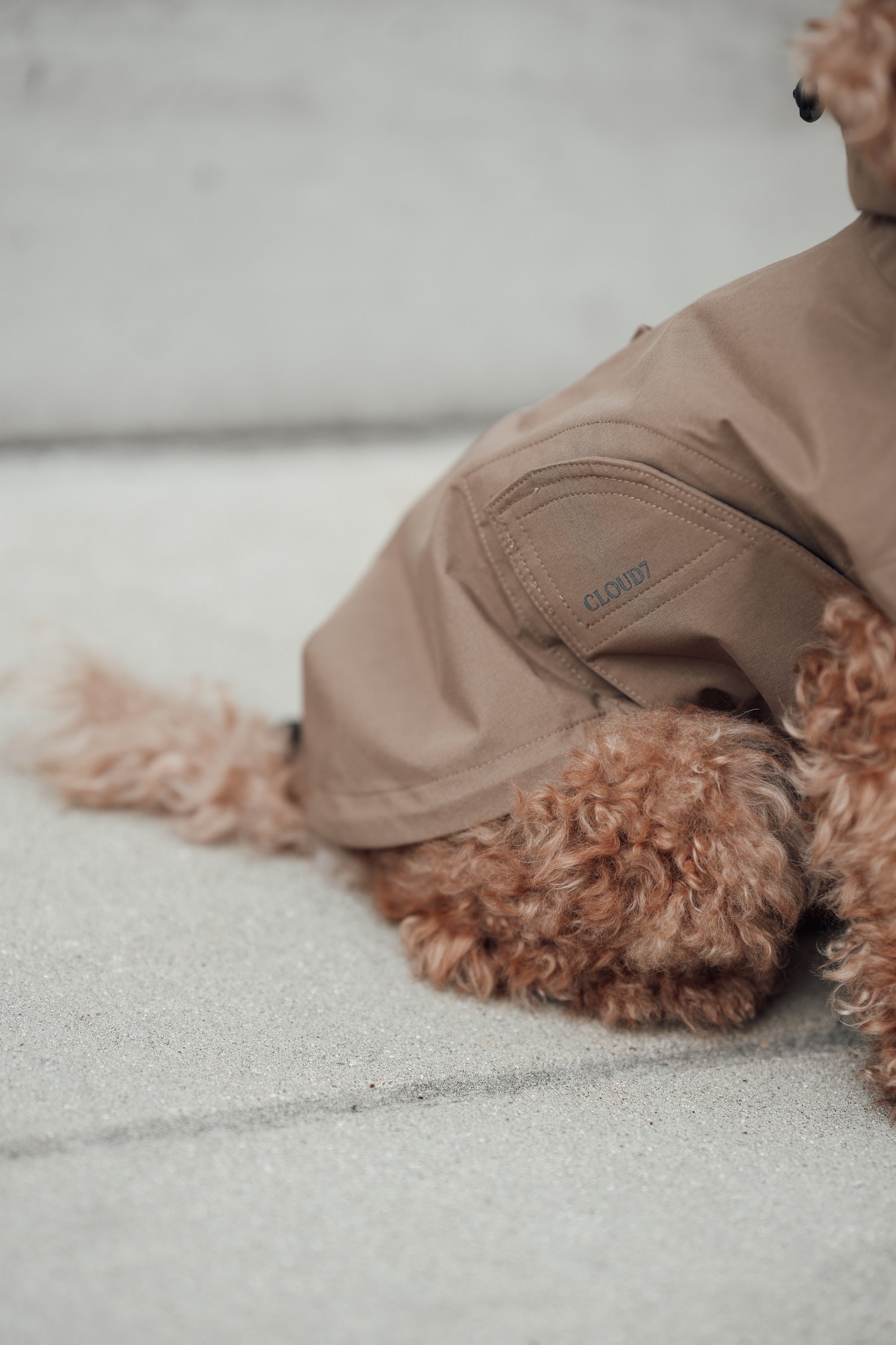 Cloud7 Hunderegenmantel Dublin Sandy Brown Regenmantel für Hunde Dackelmantel Regen