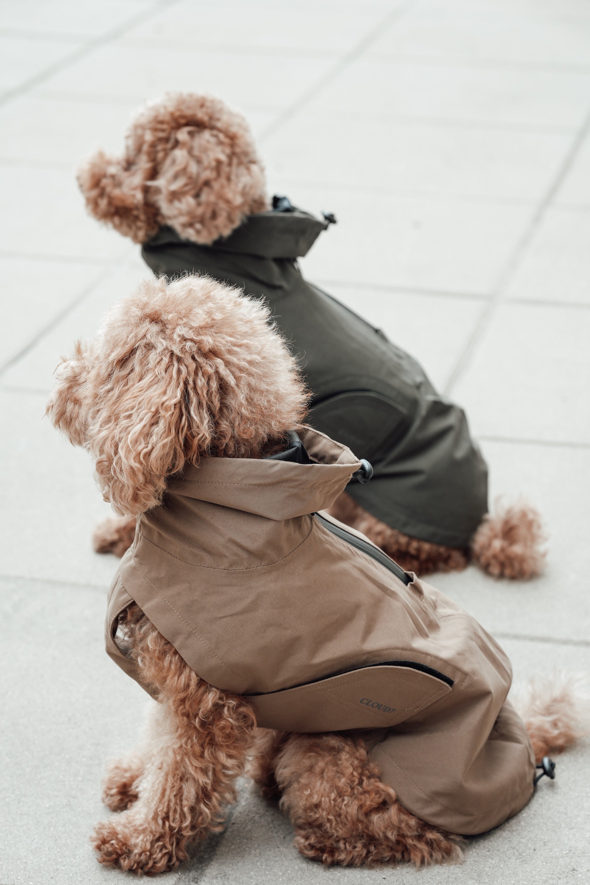 Cloud7 Hunderegenmantel Dublin Sandy Brown Regenmantel für Hunde Hunderegenmantel Dackel