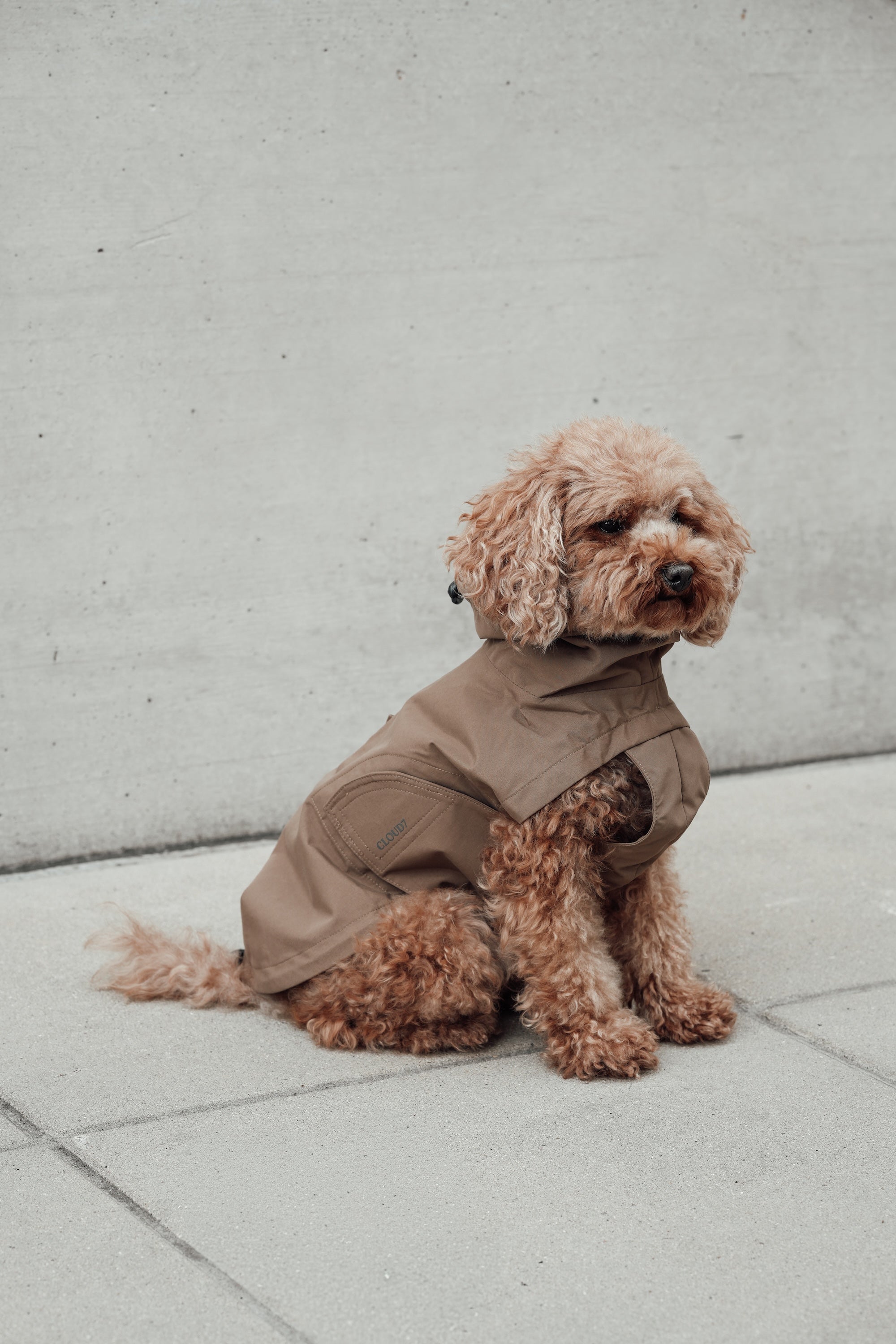 Cloud7 Hunderegenmantel Dublin Sandy Brown Regenmantel für Hunde Hunderegenmantel für Dackel