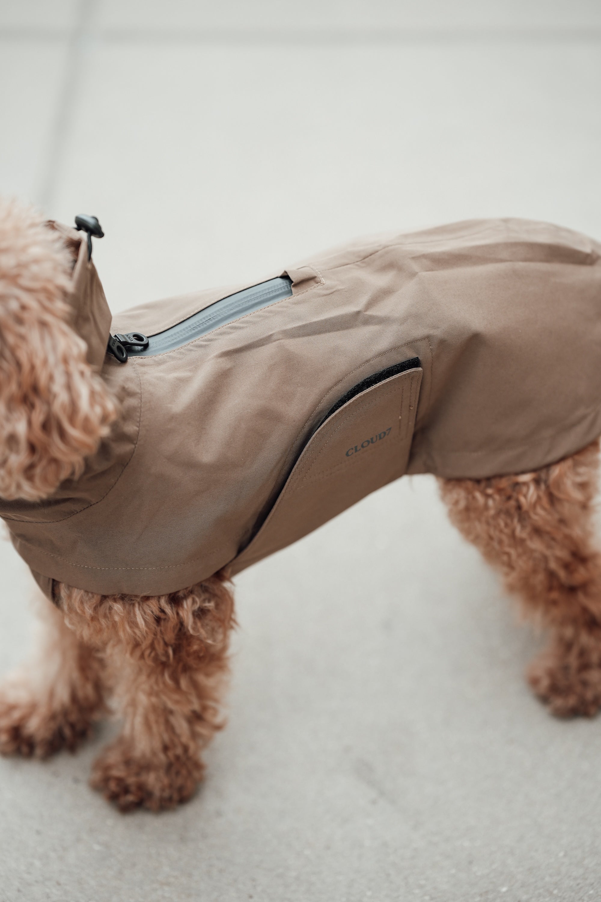 Cloud7 Hunderegenmantel Dublin Sandy Brown Regenmantel für Hunde Hunderegenmantel für Geschirr