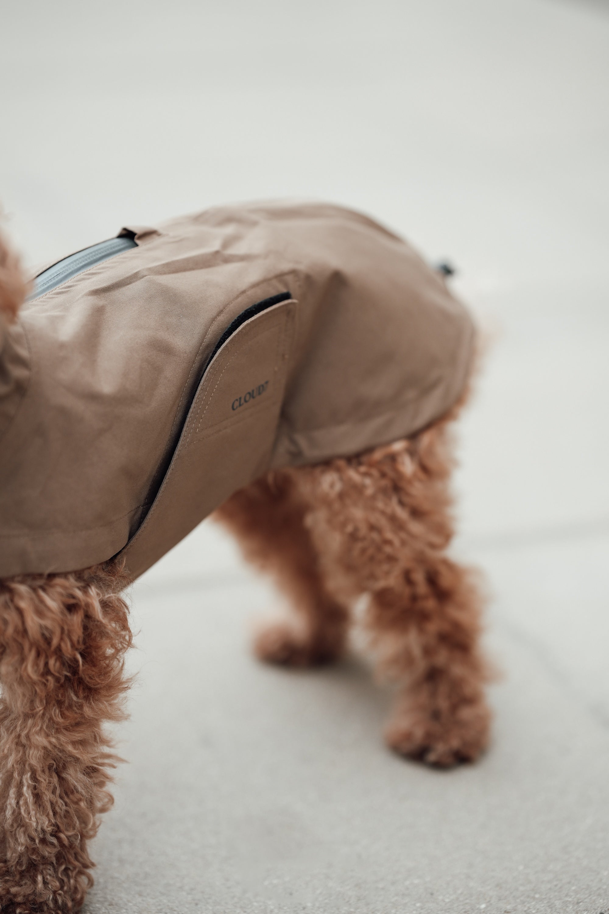 Cloud7 Hunderegenmantel Dublin Sandy Brown Regenmantel für Hunde Hunderegenmantel mit Bauchschutz