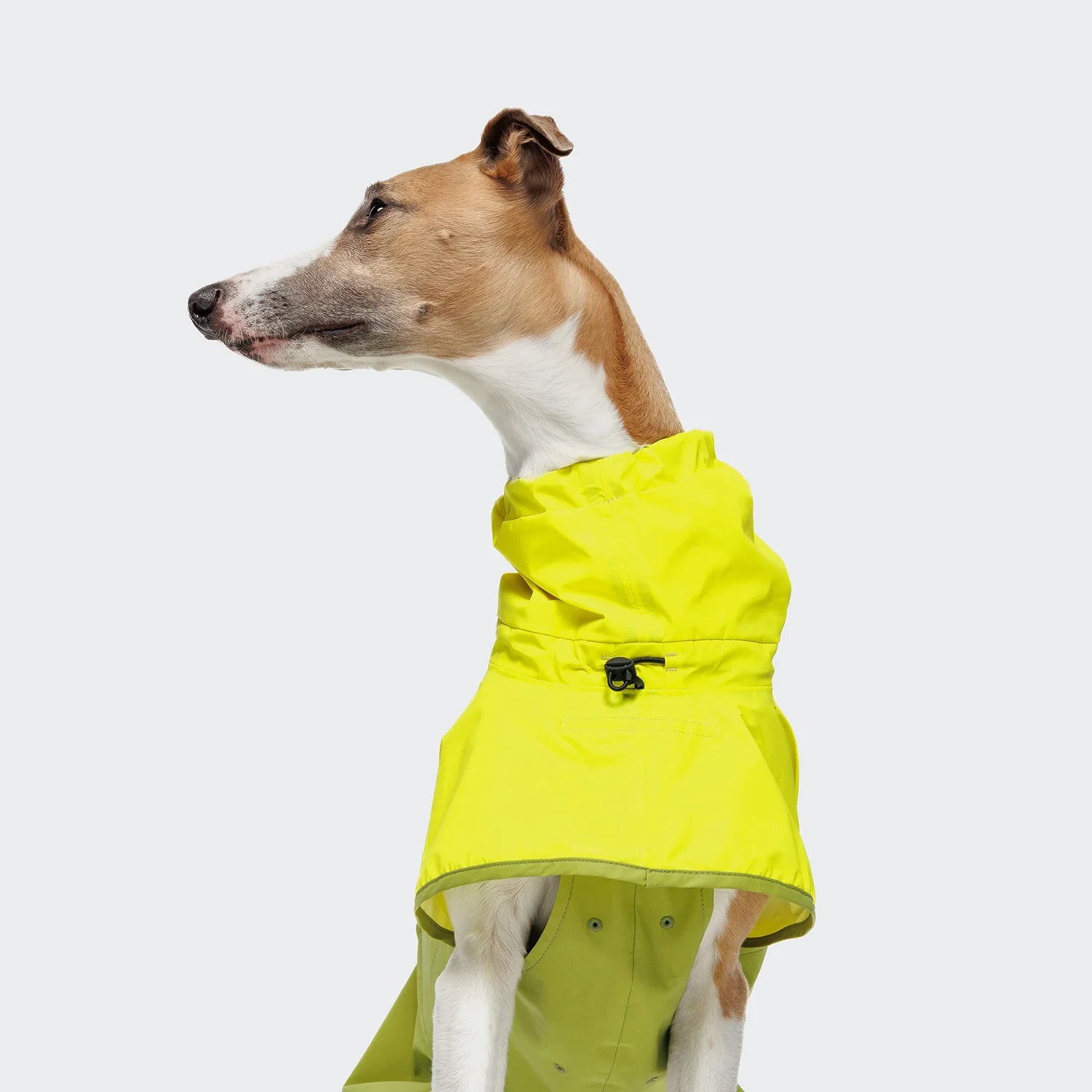 Cloud7 Hunderegenmantel AKTIV Neon-Green / Light-Olive