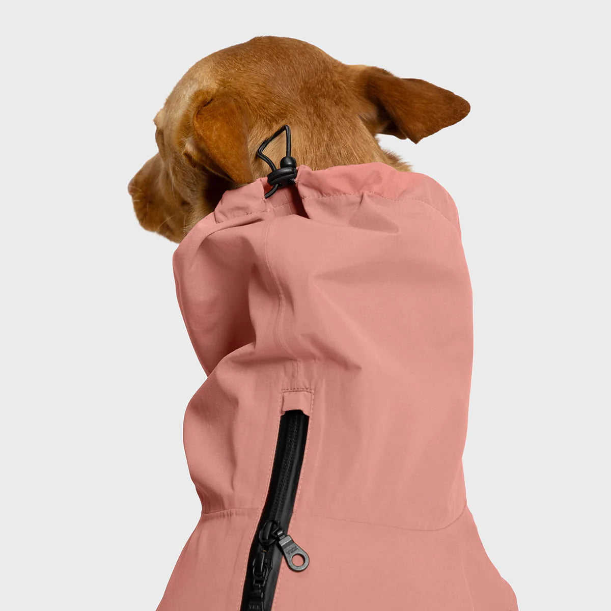 Cloud7 Hunderegenmantel Dublin 2.0 Faded Rose Hunderegenmantel kleine Hunde