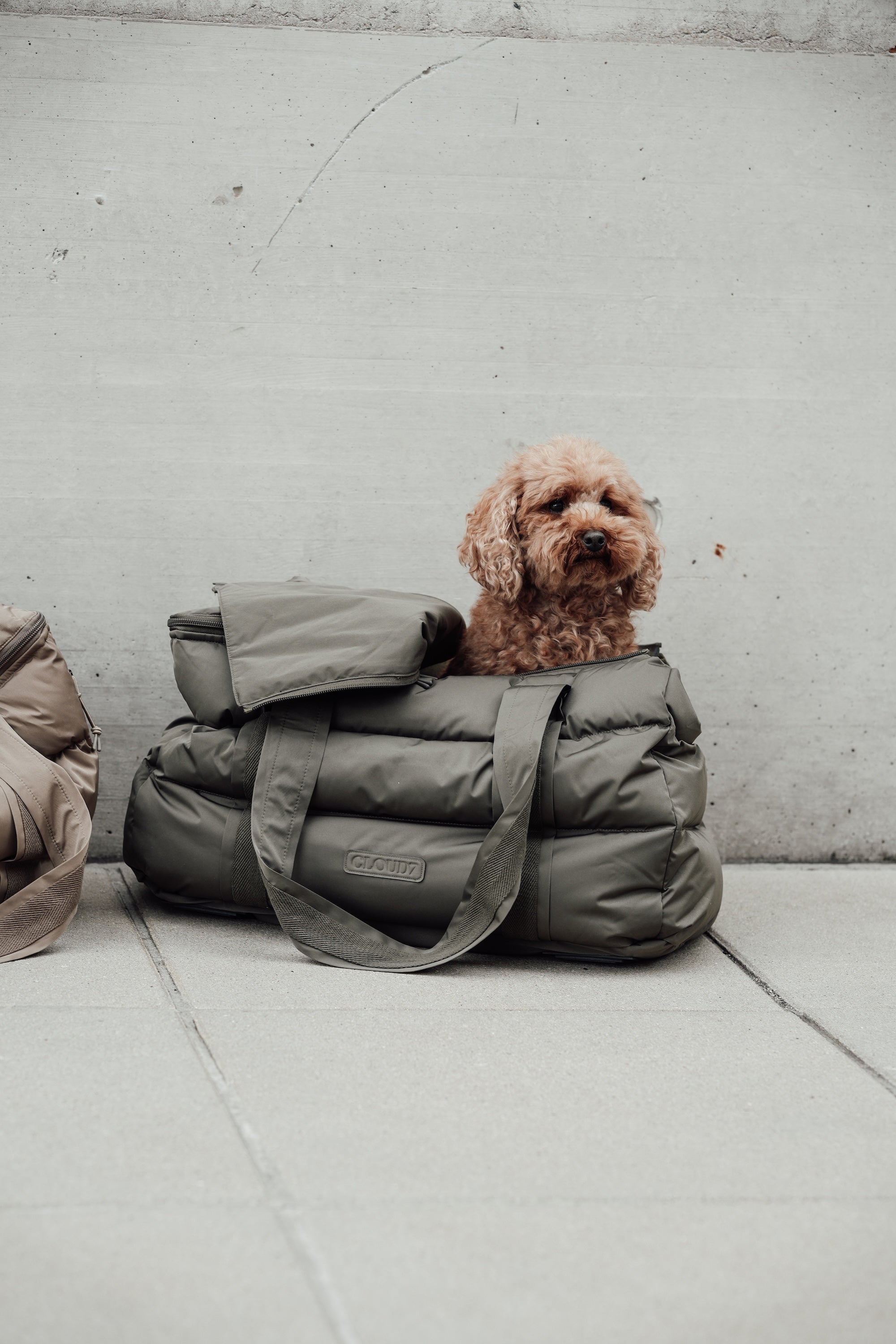 Cloud7 Hundetasche Montreal Hundetragetasche Hundereisebett