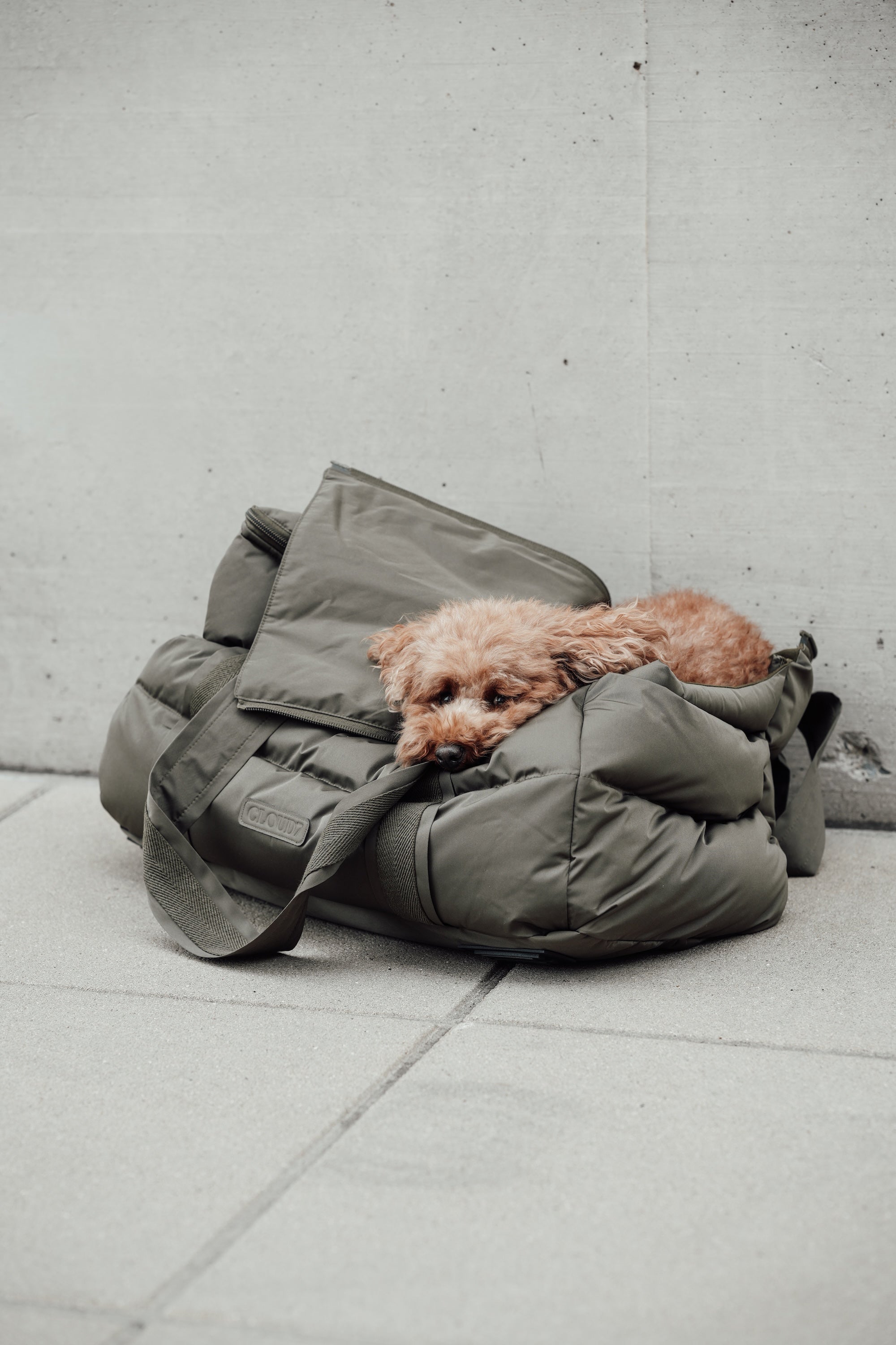 Cloud7 Hundetasche Montreal Hundetragetasche Reisetasche für Hund