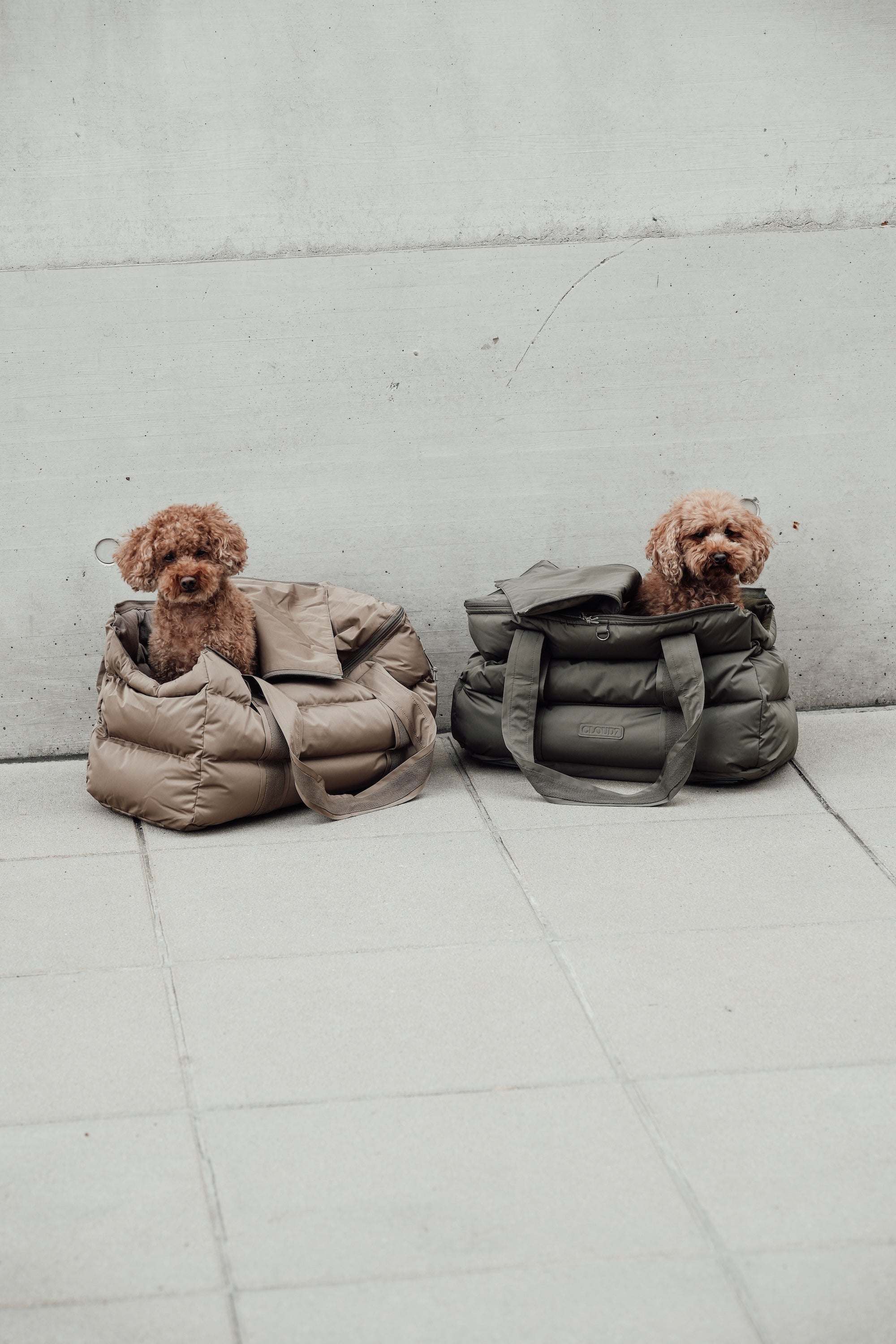 Cloud7 Hundetasche Montreal Reisetasche Hund