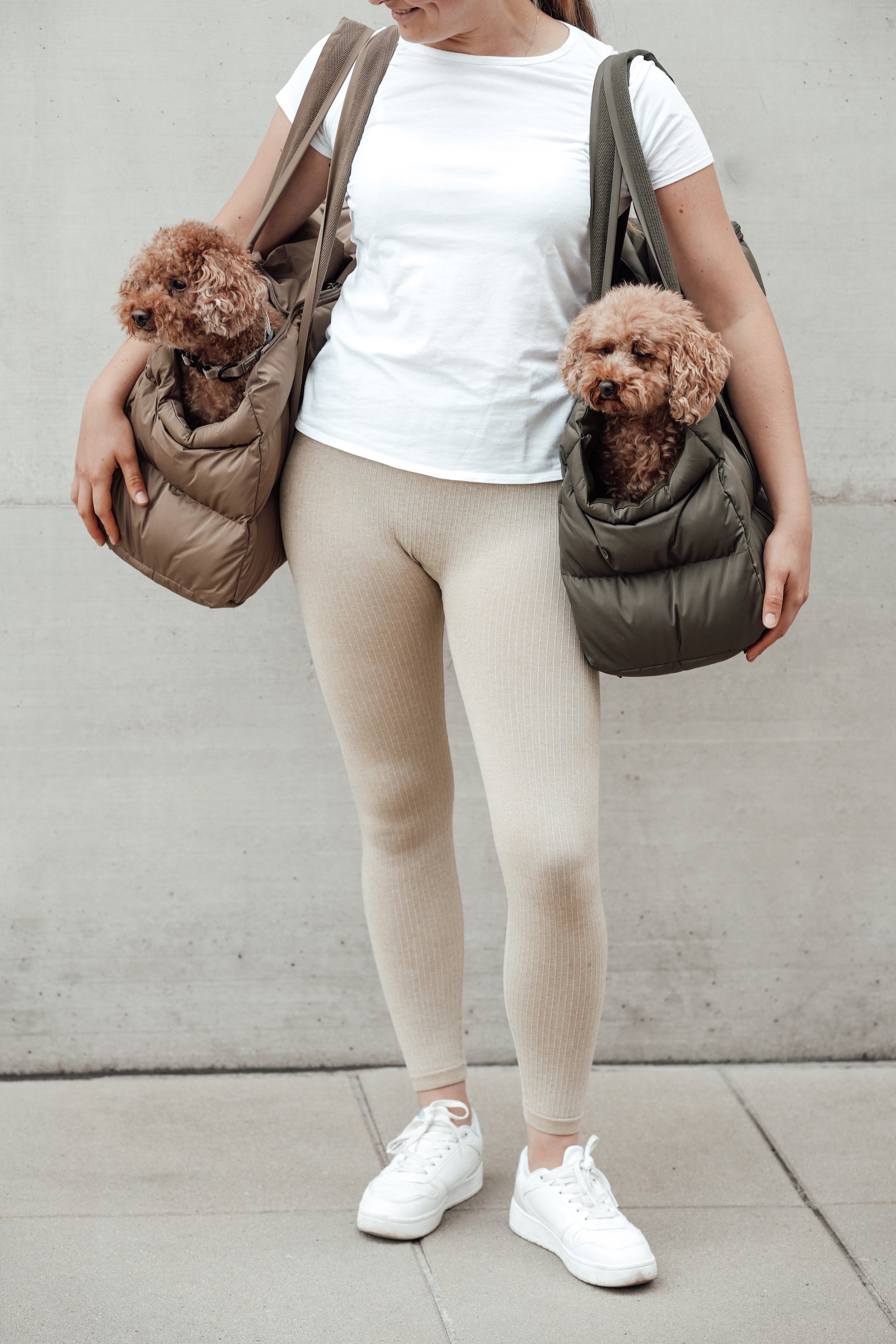 Cloud7 Hundetasche Montreal Tasche für Hunde