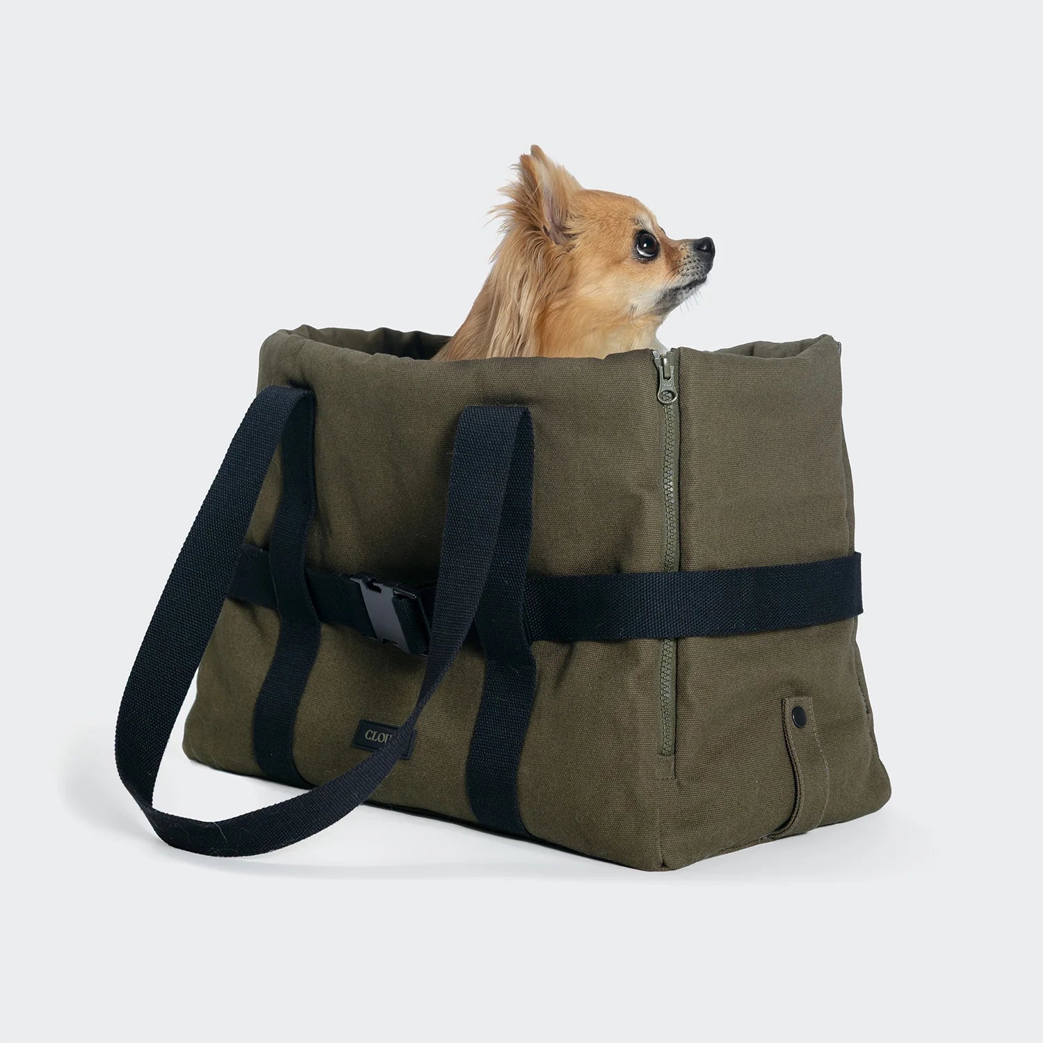 Cloud7 Hundetasche Turin Canvas Olive Hundetragetasche Dackel Reisen mit Hund