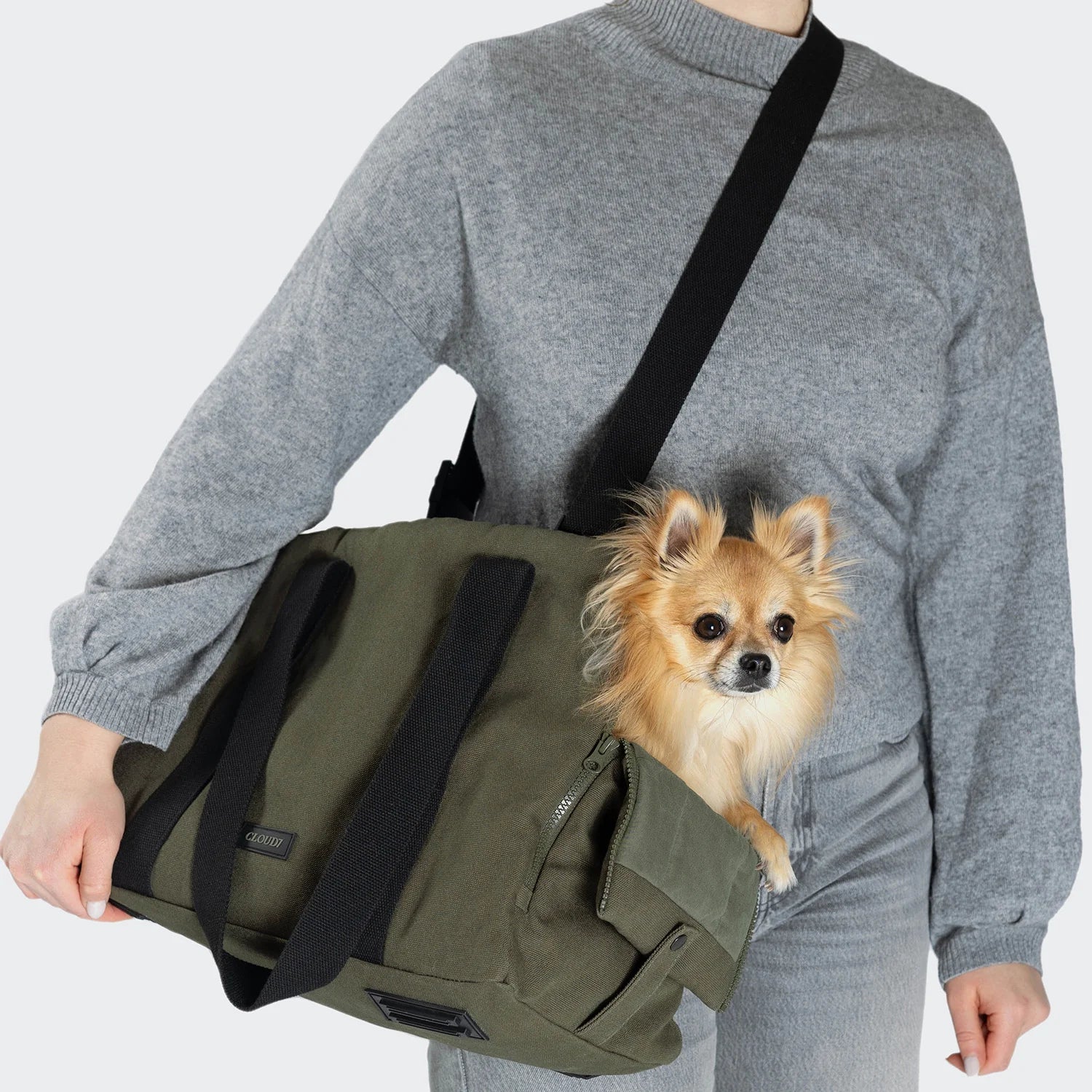 Cloud7 Hundetasche Turin Canvas Olive Tragetasche für Dackel gepolstert