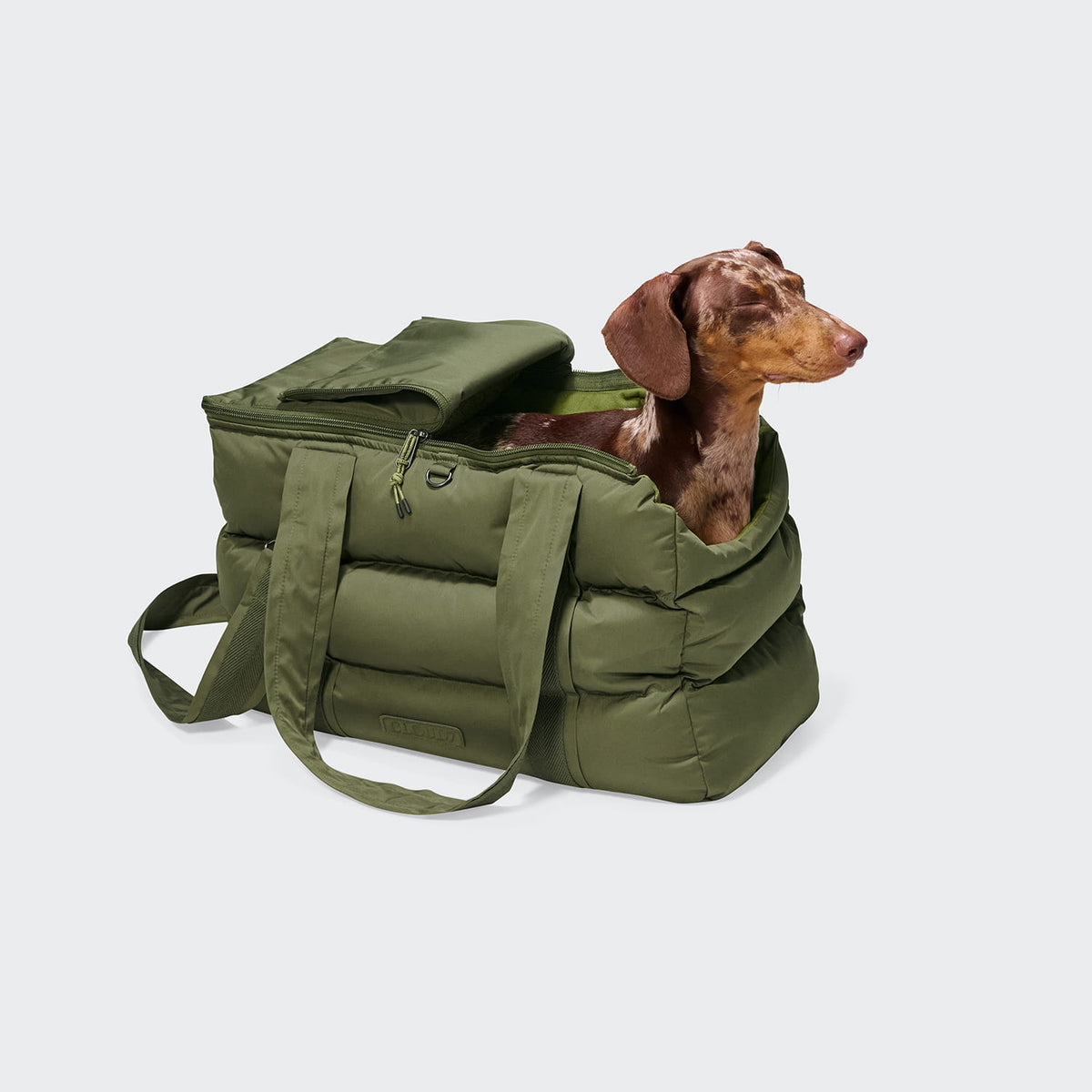 Cloud7 Hundetasche Montreal 2.0 Light Olive Hundetragetasche bis 10 kg
