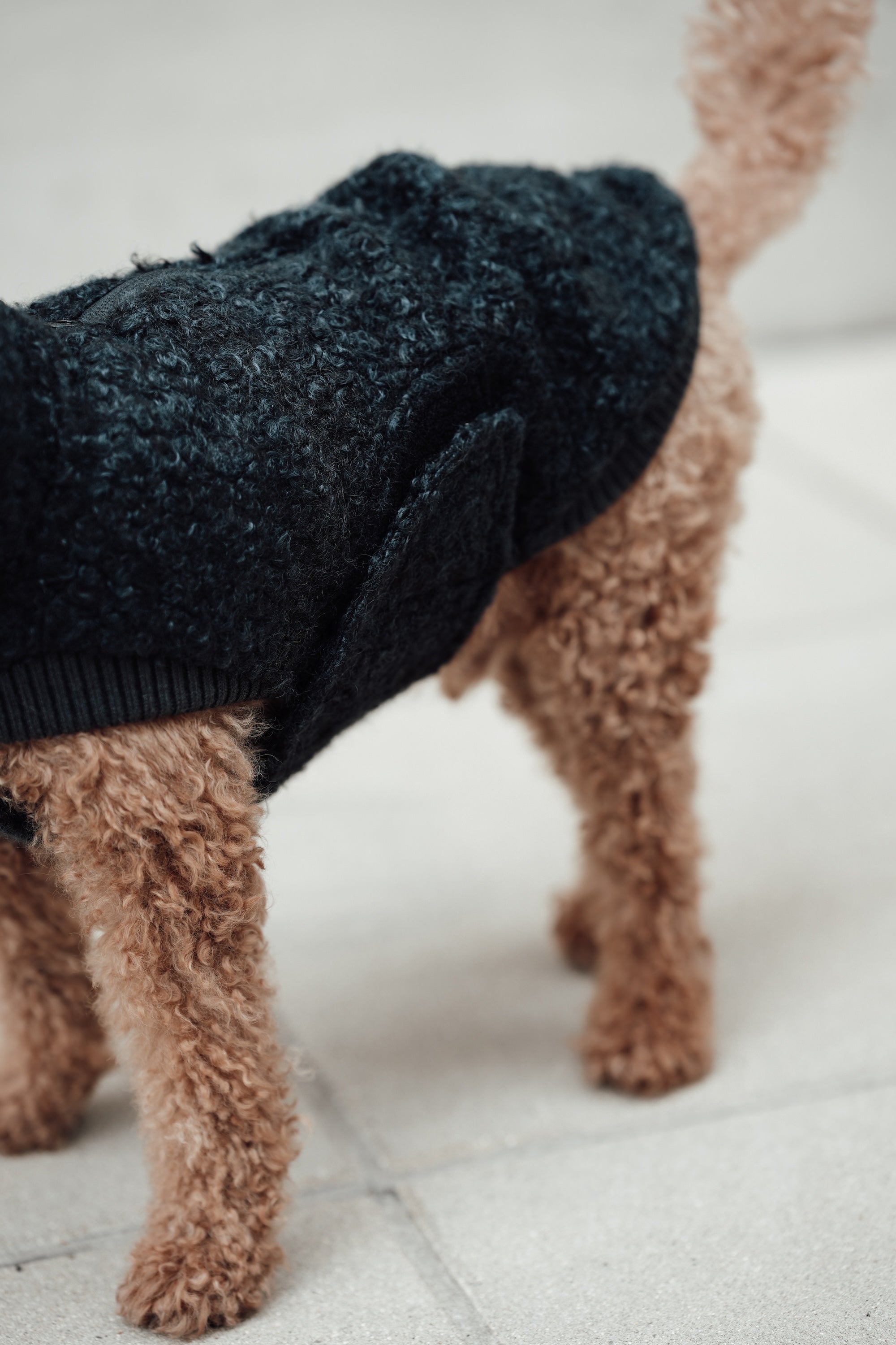 Cloud7 Hundewintermantel Hundepullover Gotland Anthra Hundejacke verstellbar Winter