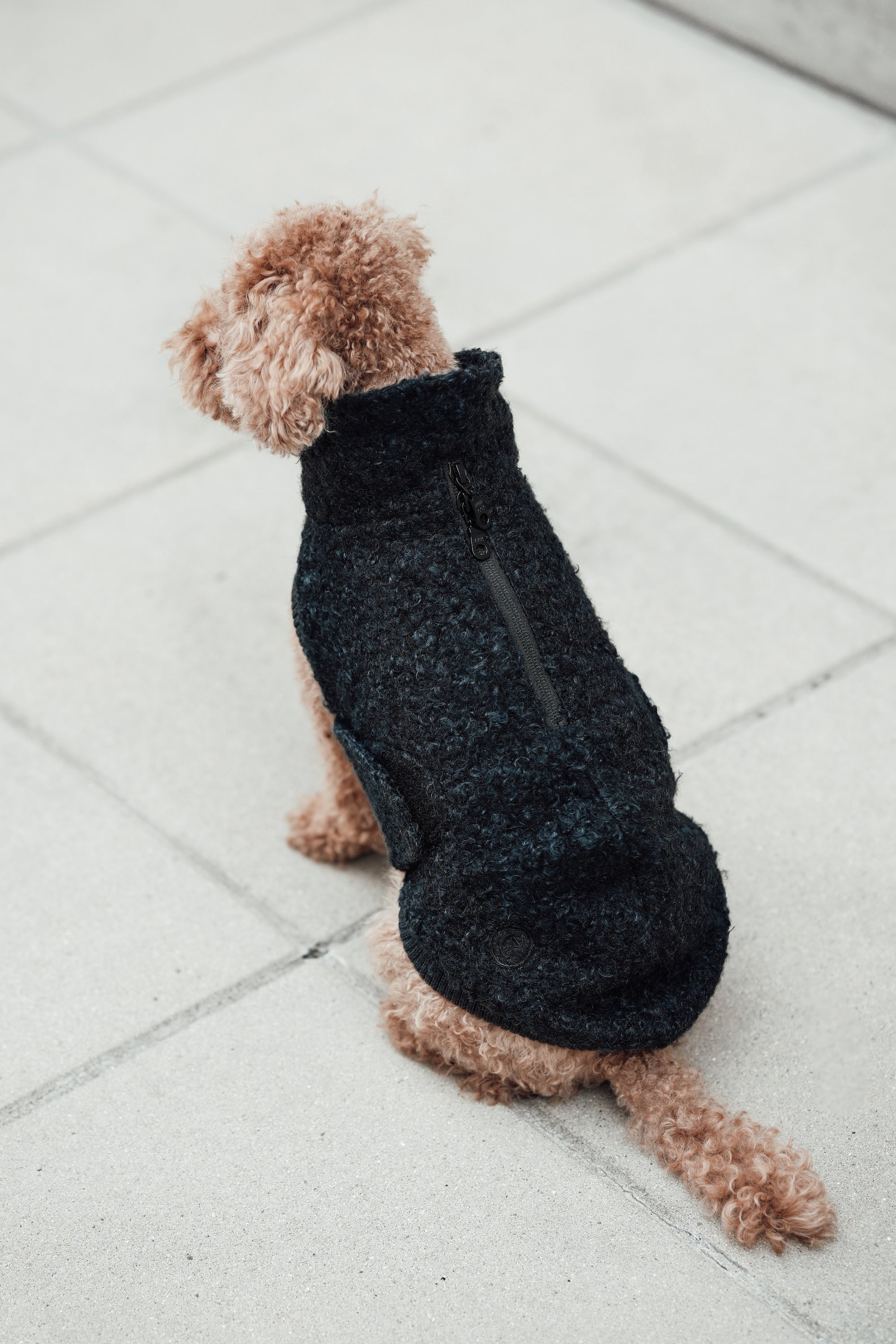 Cloud7 Hundewintermantel Hundepullover Gotland Anthra Hundewintermantel wasserabweisend