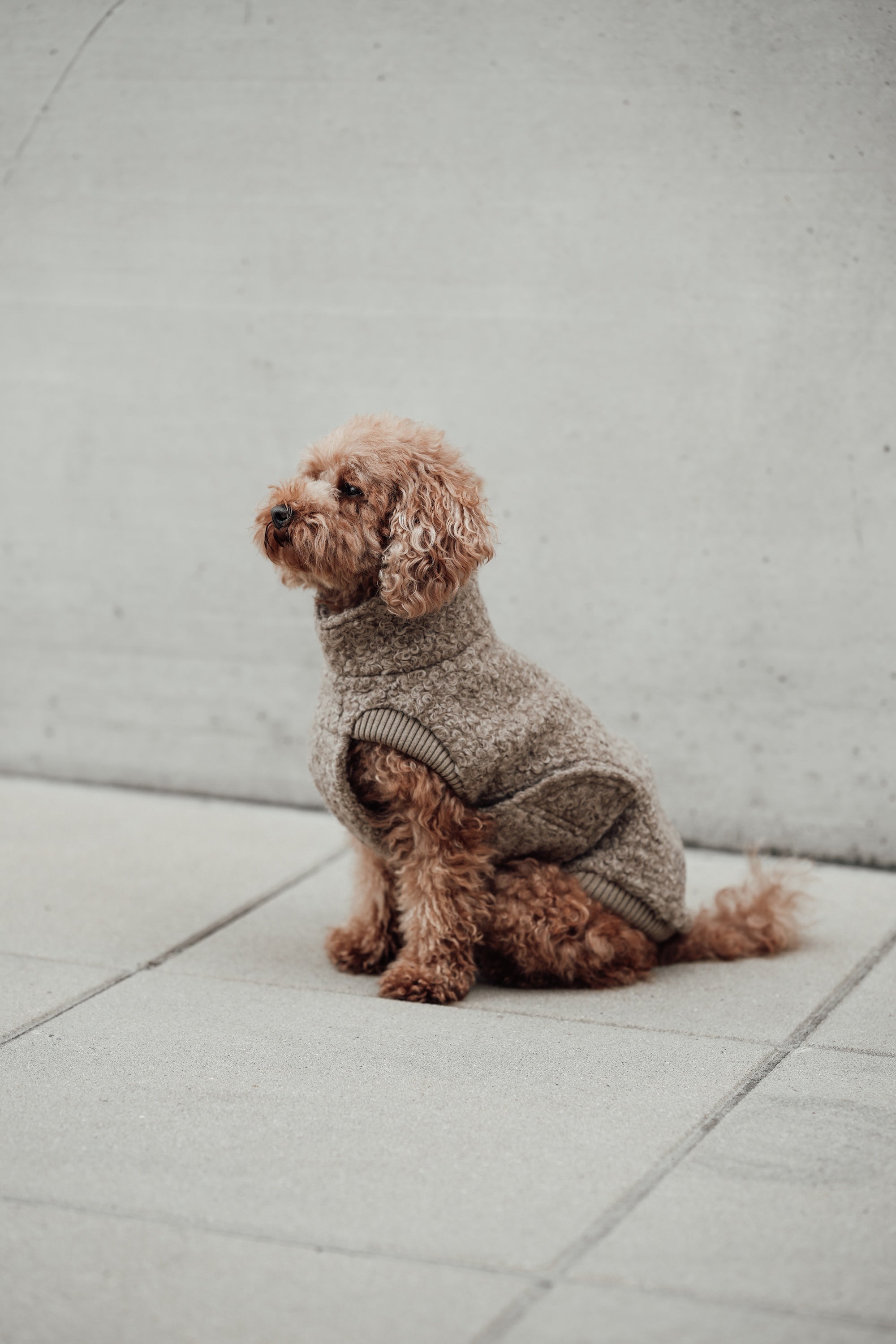Cloud7 Hundewintermantel Hundepullover Gotland Sandy Brown