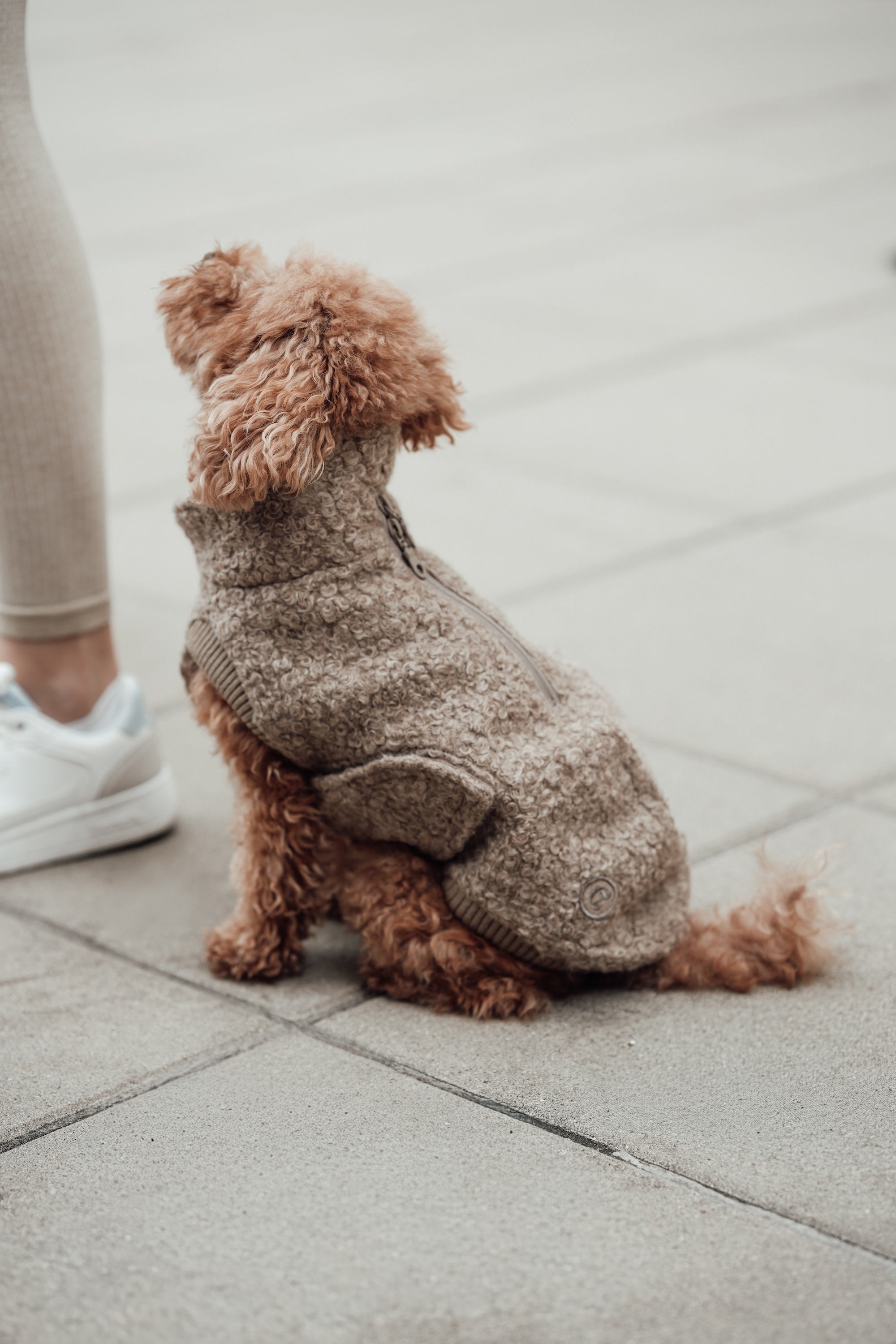 Cloud7 Hundewintermantel Hundepullover Gotland Sandy Brown Mantel für Hunde Winter