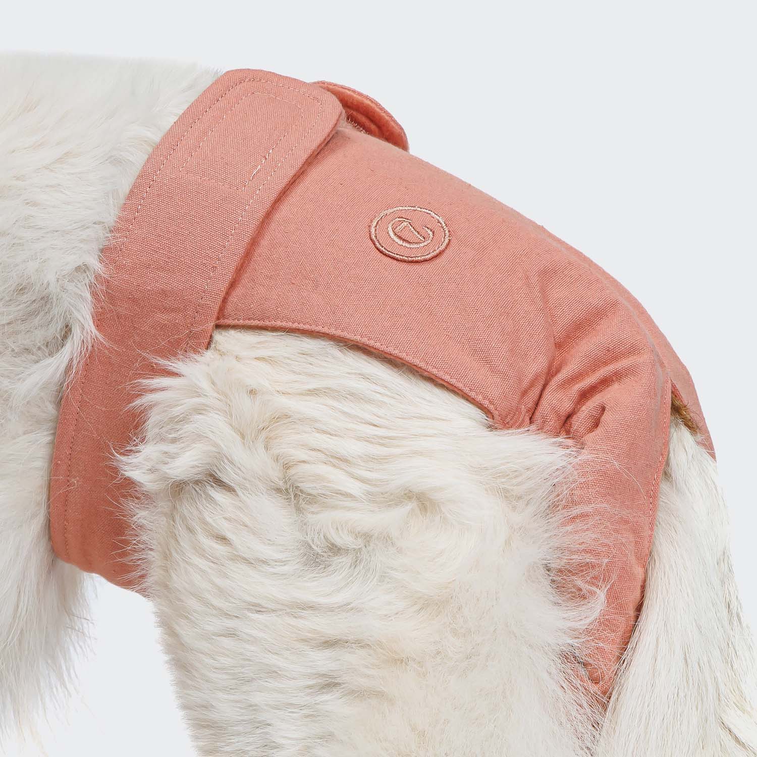 Cloud7 Läufigkeitshöschen Rose Windel für Hunde Läufigkeit Panties für Hunde