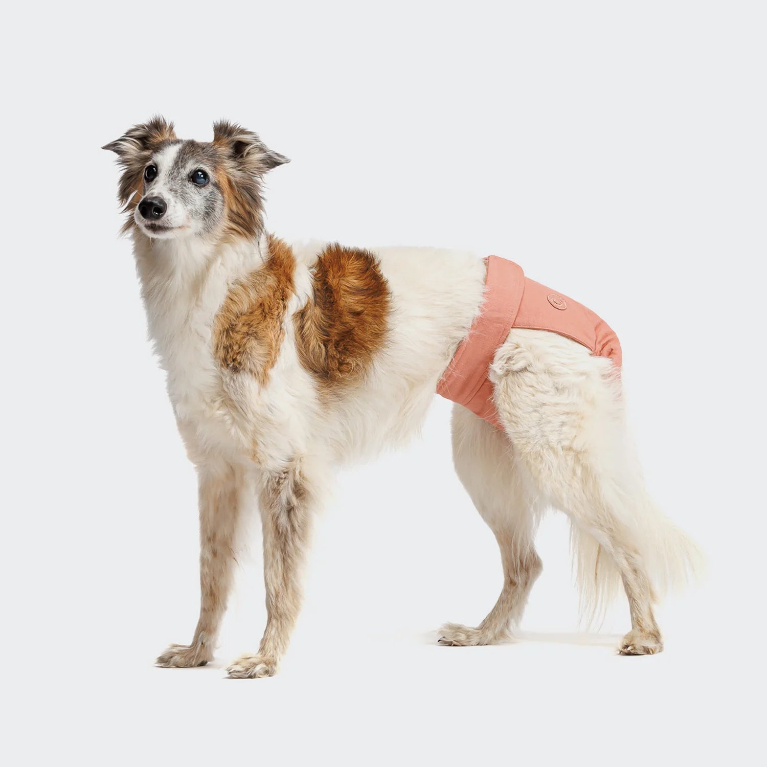 Cloud7 Läufigkeitshöschen Rose Windel für Hunde Läufigkeit Unterhose für Hunde