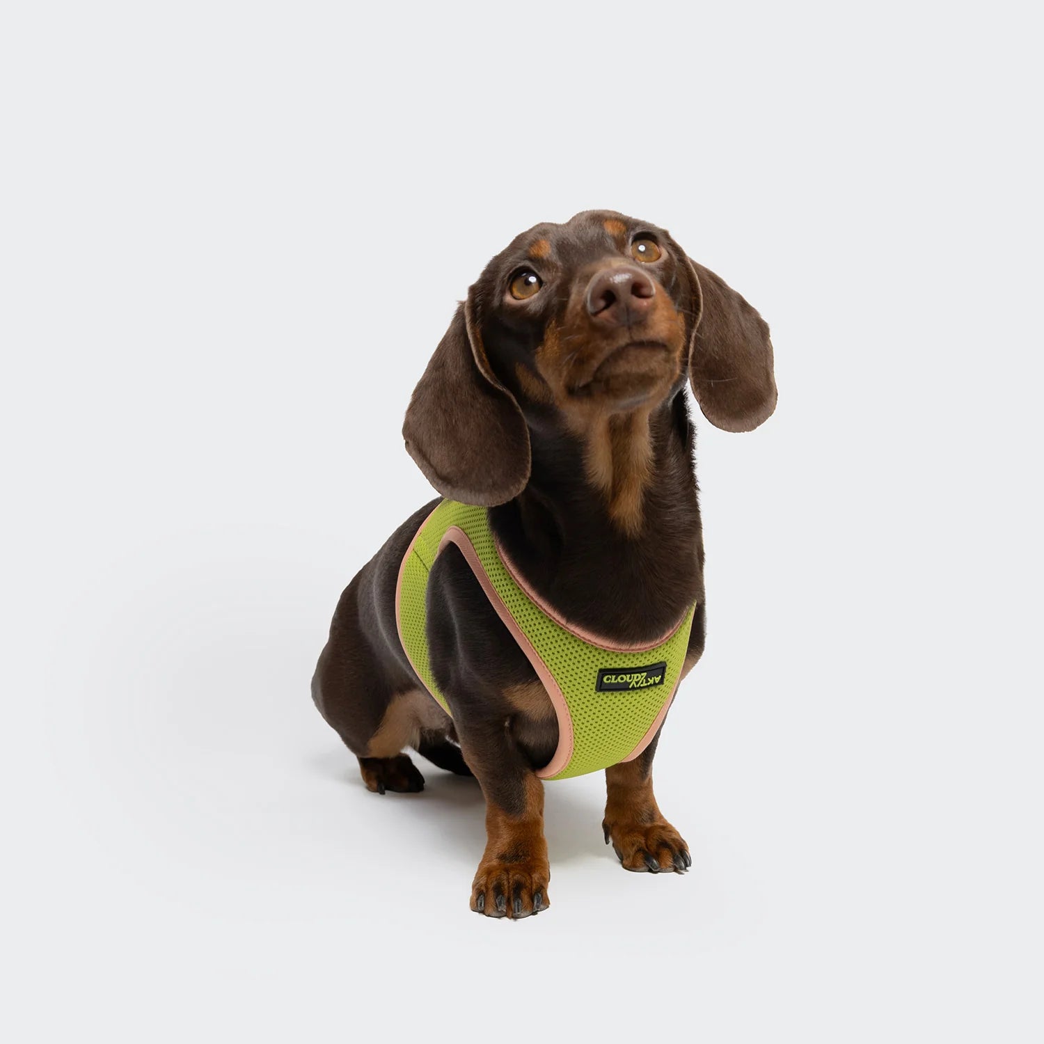 Cloud7 V-1 Westengeschirr AKTIV Air-Mesh Peach/Neon Green Hundegeschirr