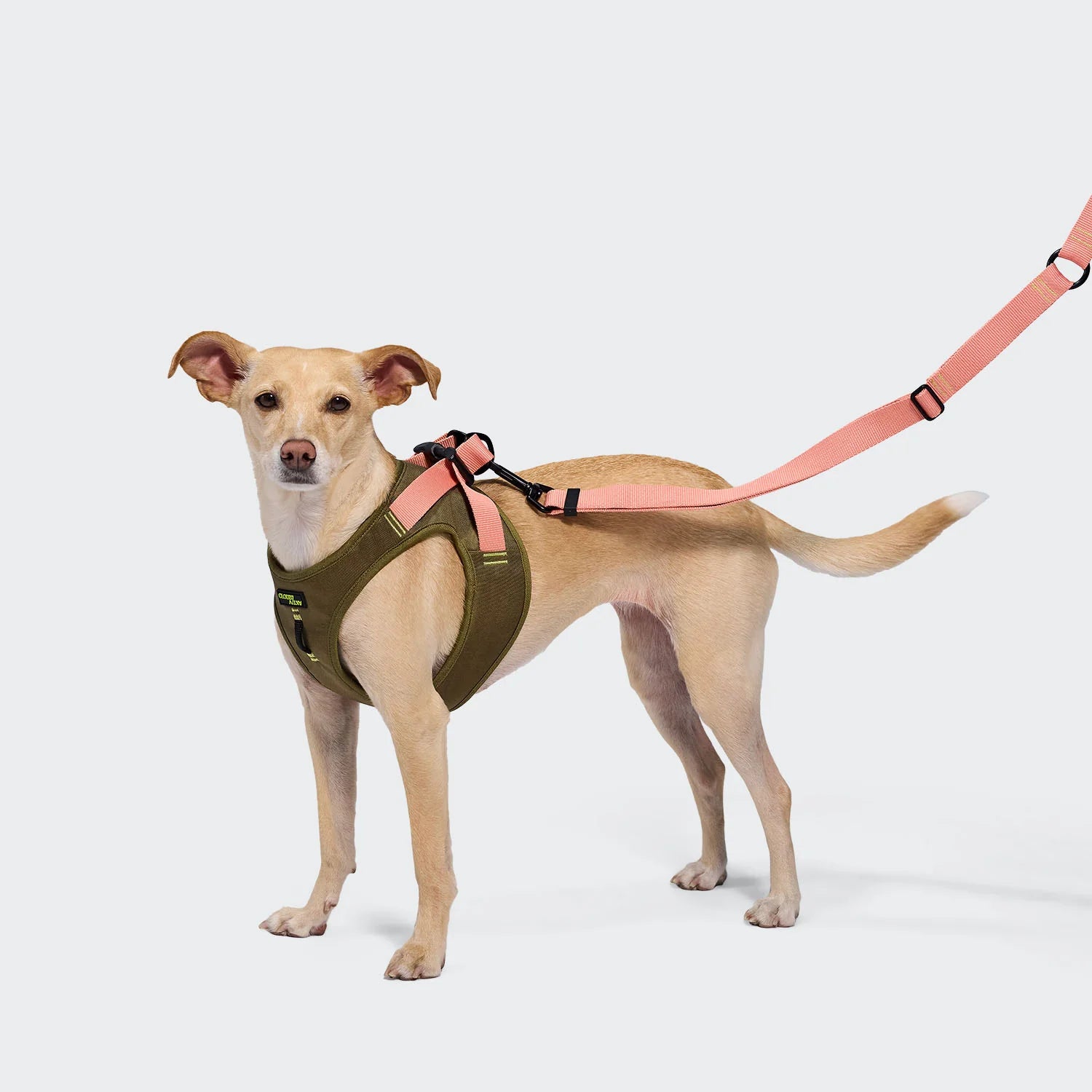 Cloud7 V-2 Westengeschirr AKTIV Cordura Khaki/Peach Geschirr für kleine Hunde