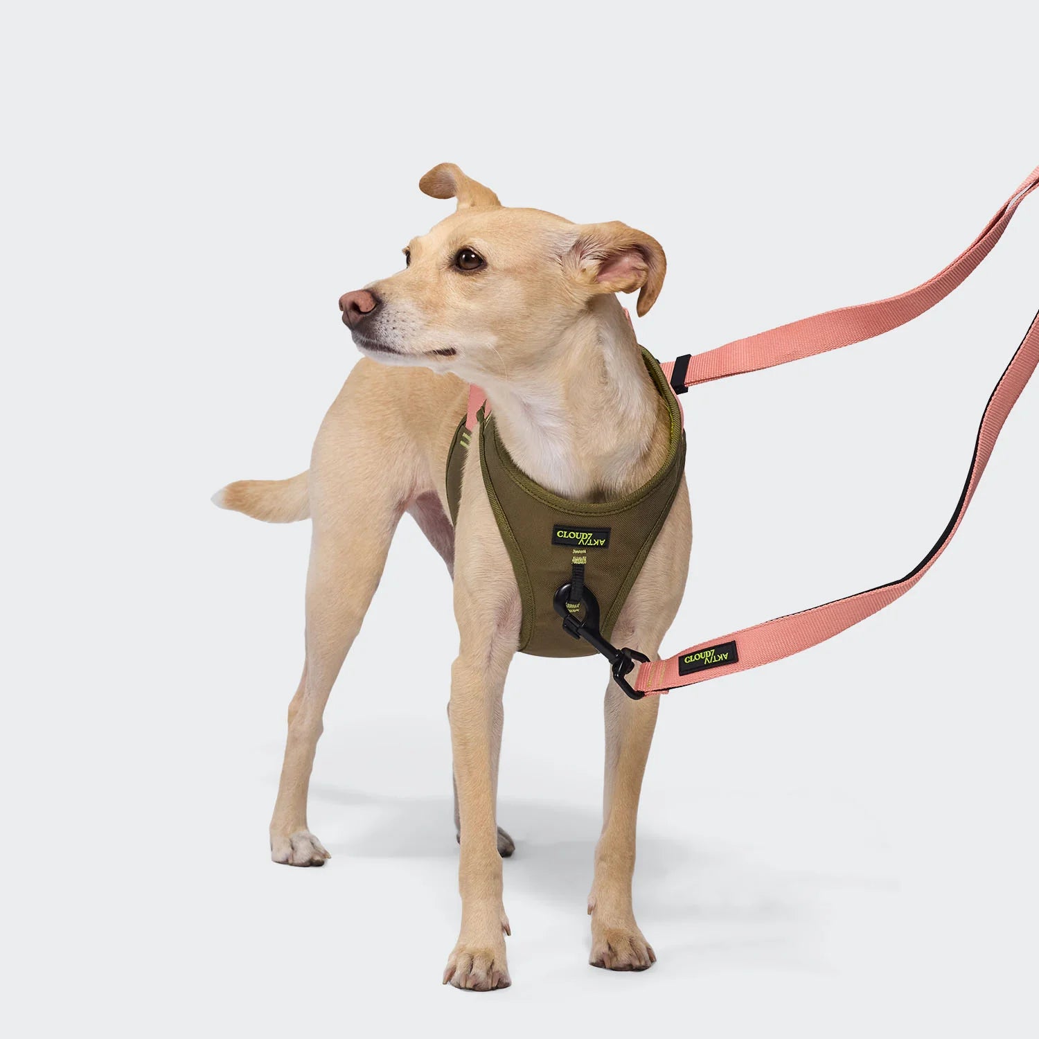 Cloud7 V-2 Westengeschirr AKTIV Cordura Khaki/Peach Hundegeschirr verstellbar