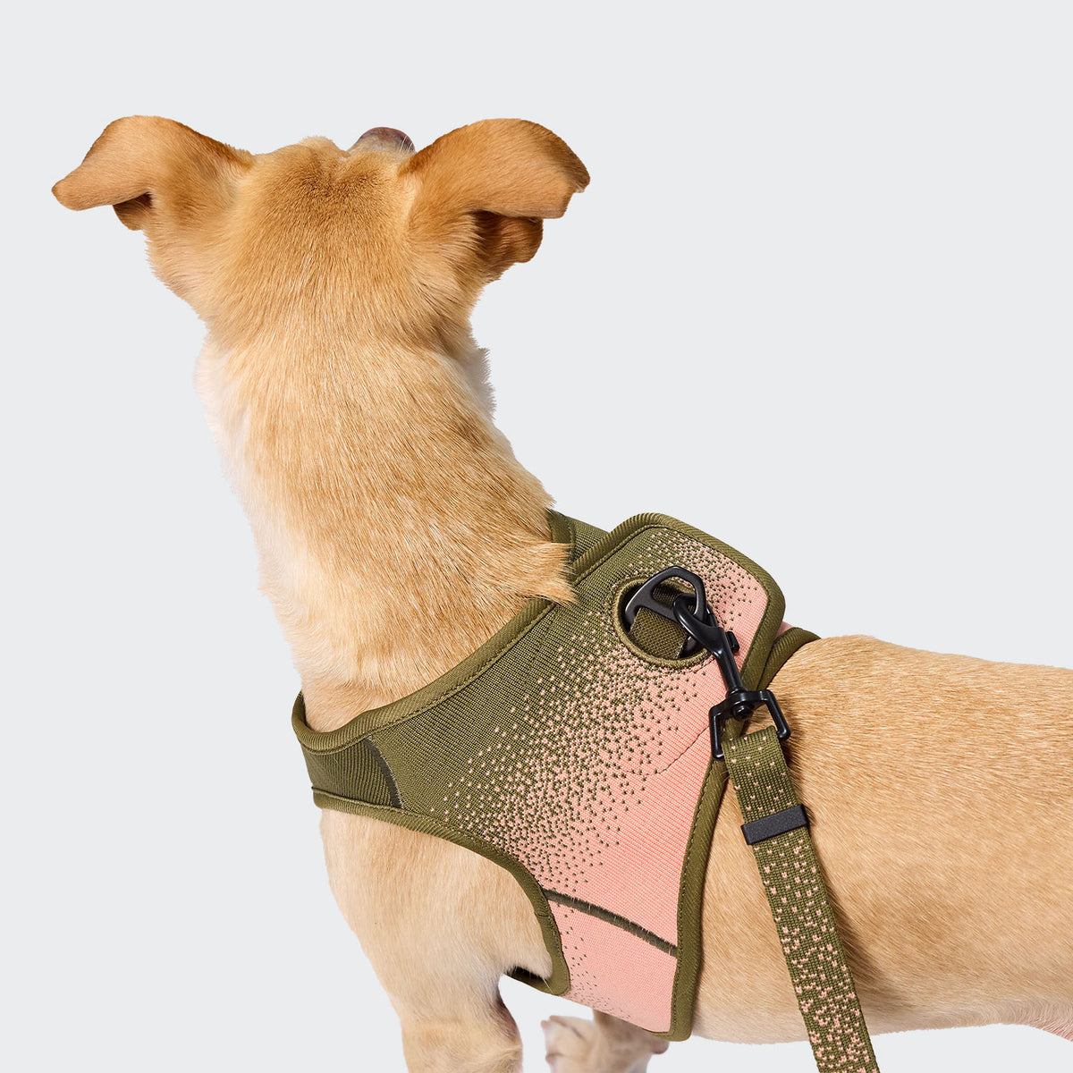 Cloud7 V-3 Westengeschirr AKTIV Knit Khaki/Peach Hundegeschirr kleine Hunde