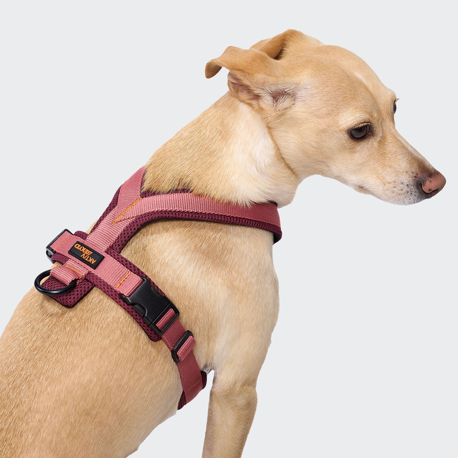 Y-1 Geschirr AKTIV Air-Mesh Aubergine/Soft Rose Hundegeschirr