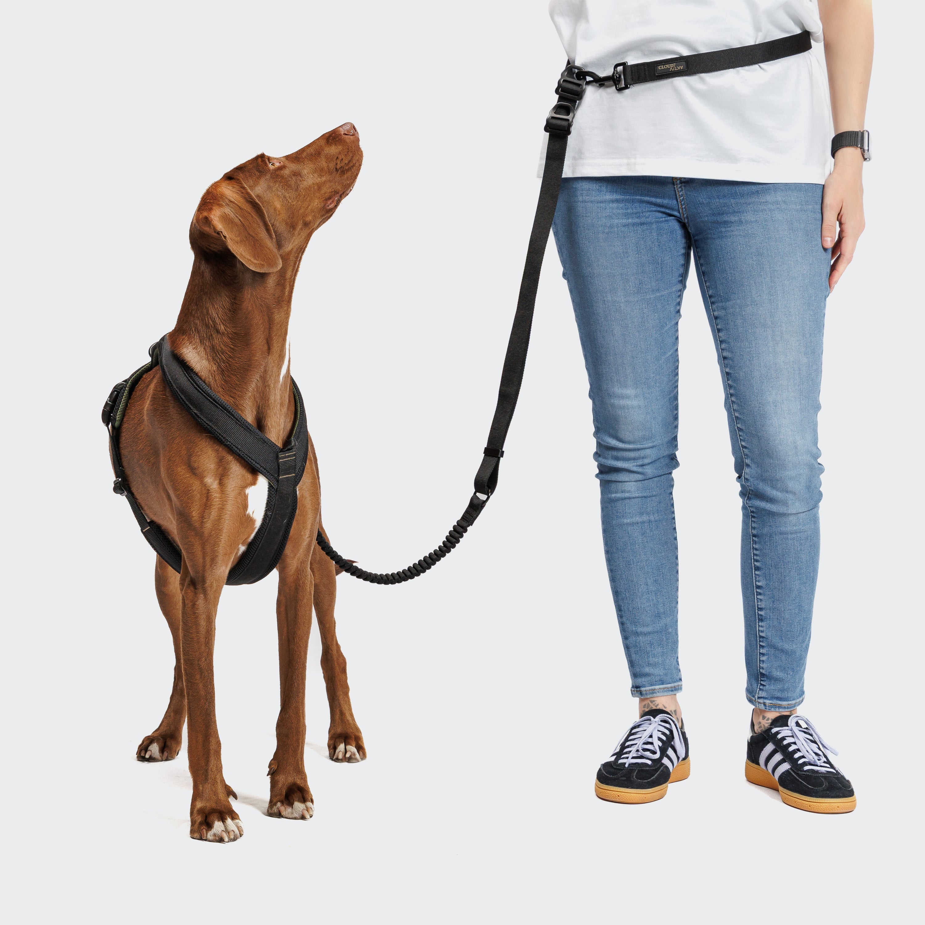 Cloud7 Y-1-Harness AKTIV Black Geschirr für Hunde