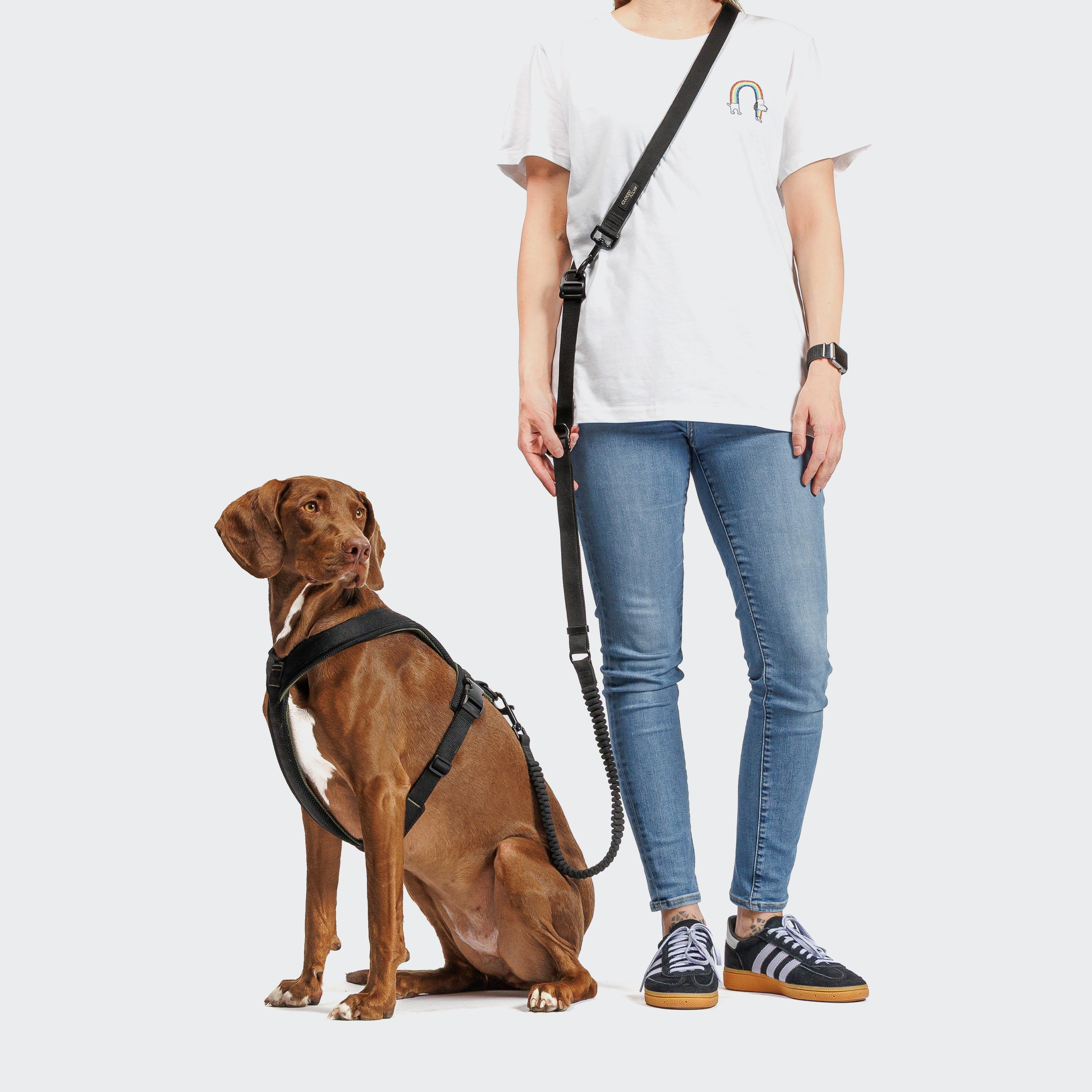 Cloud7 Y-1-Harness AKTIV Black Geschirr für Hunde Zuggeschirr für Hunde