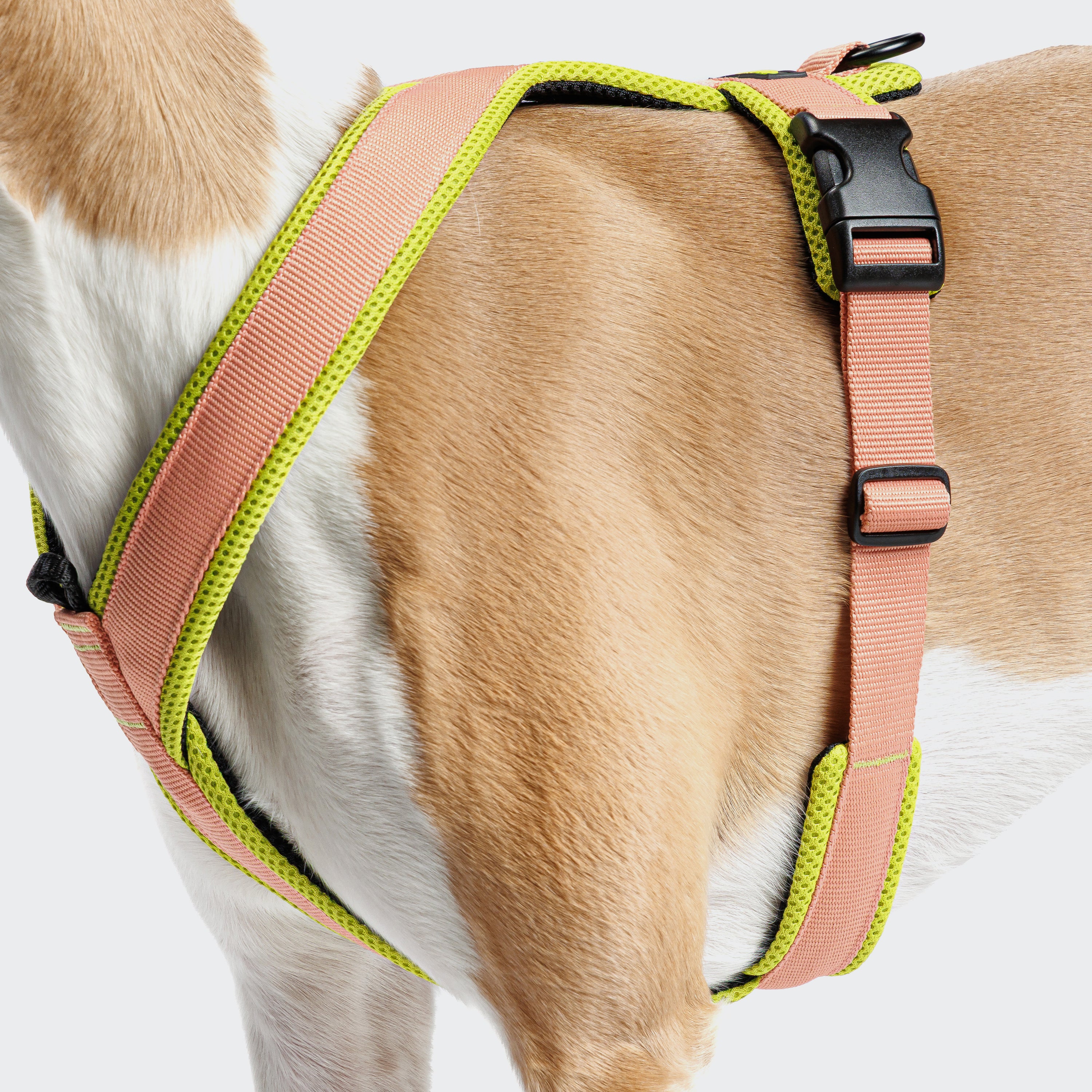 Cloud7 Y-1-Harness Peach / Neon Green
Geschirr für Hunde gepolstert