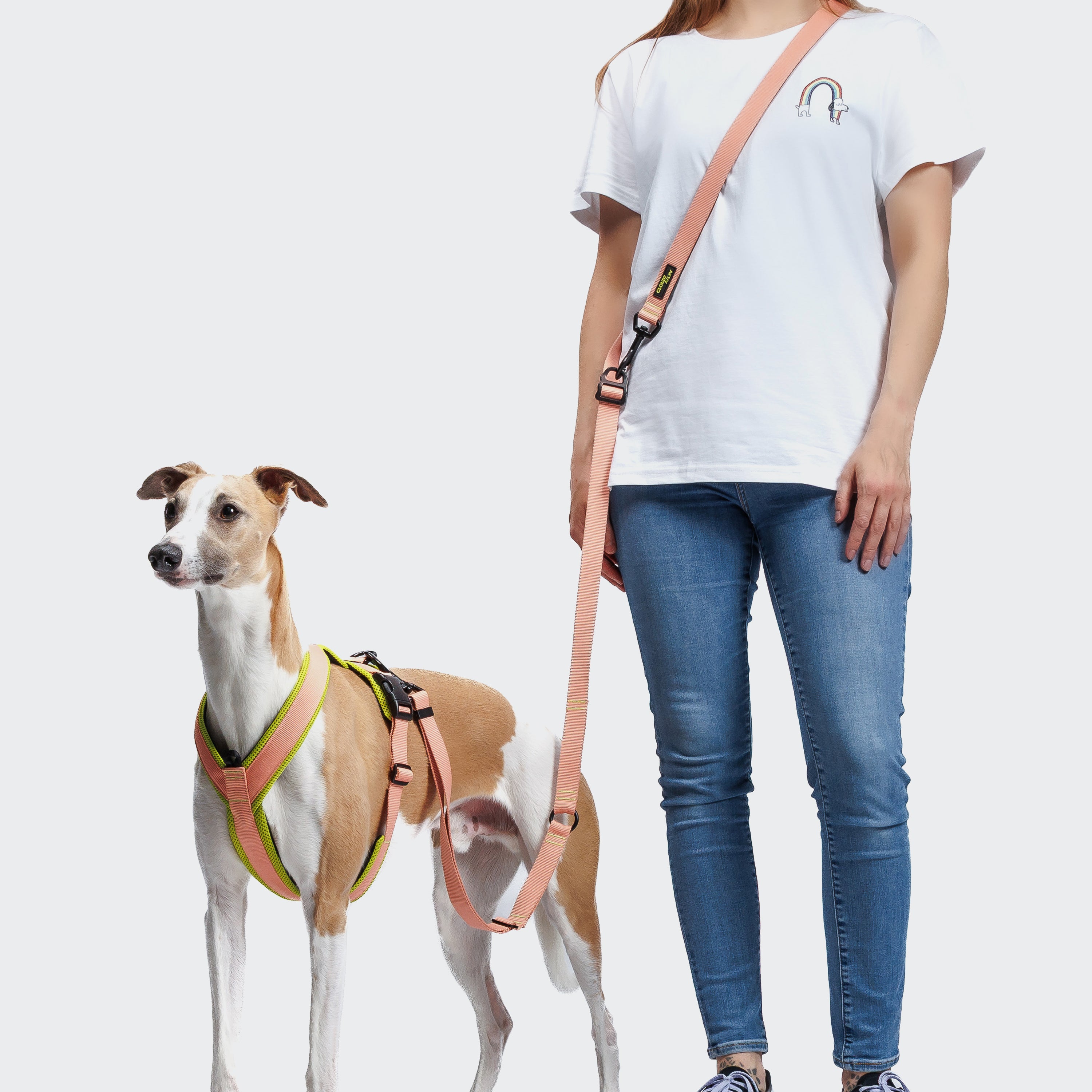 Cloud7 Y-1-Harness Peach / Neon Green
Geschirr für Hunde verstellbar