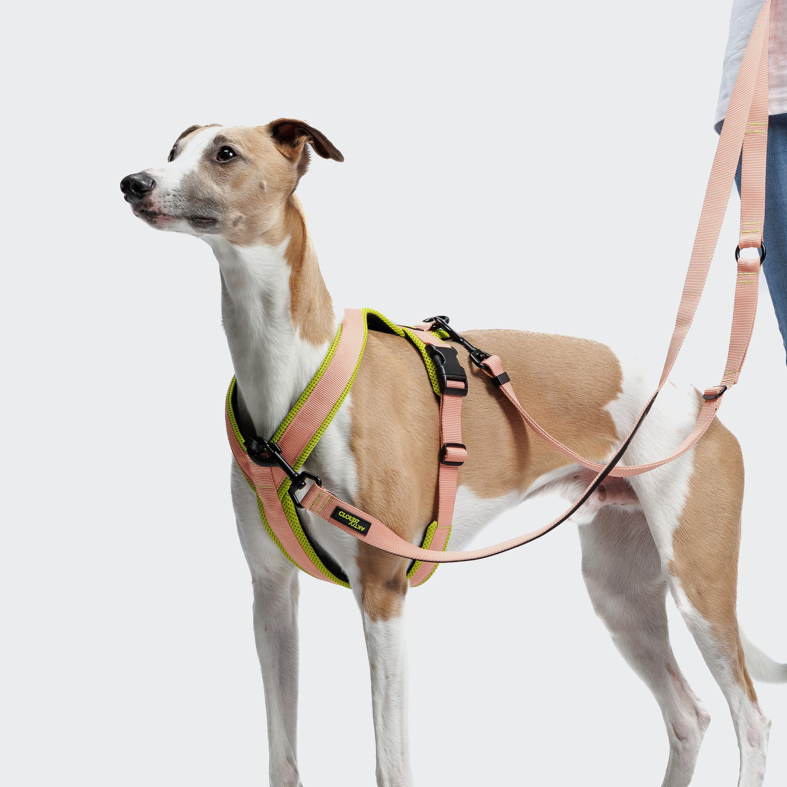 Cloud7 Y-1-Harness Peach / Neon Green
Geschirr für Hunde wasserabweisend