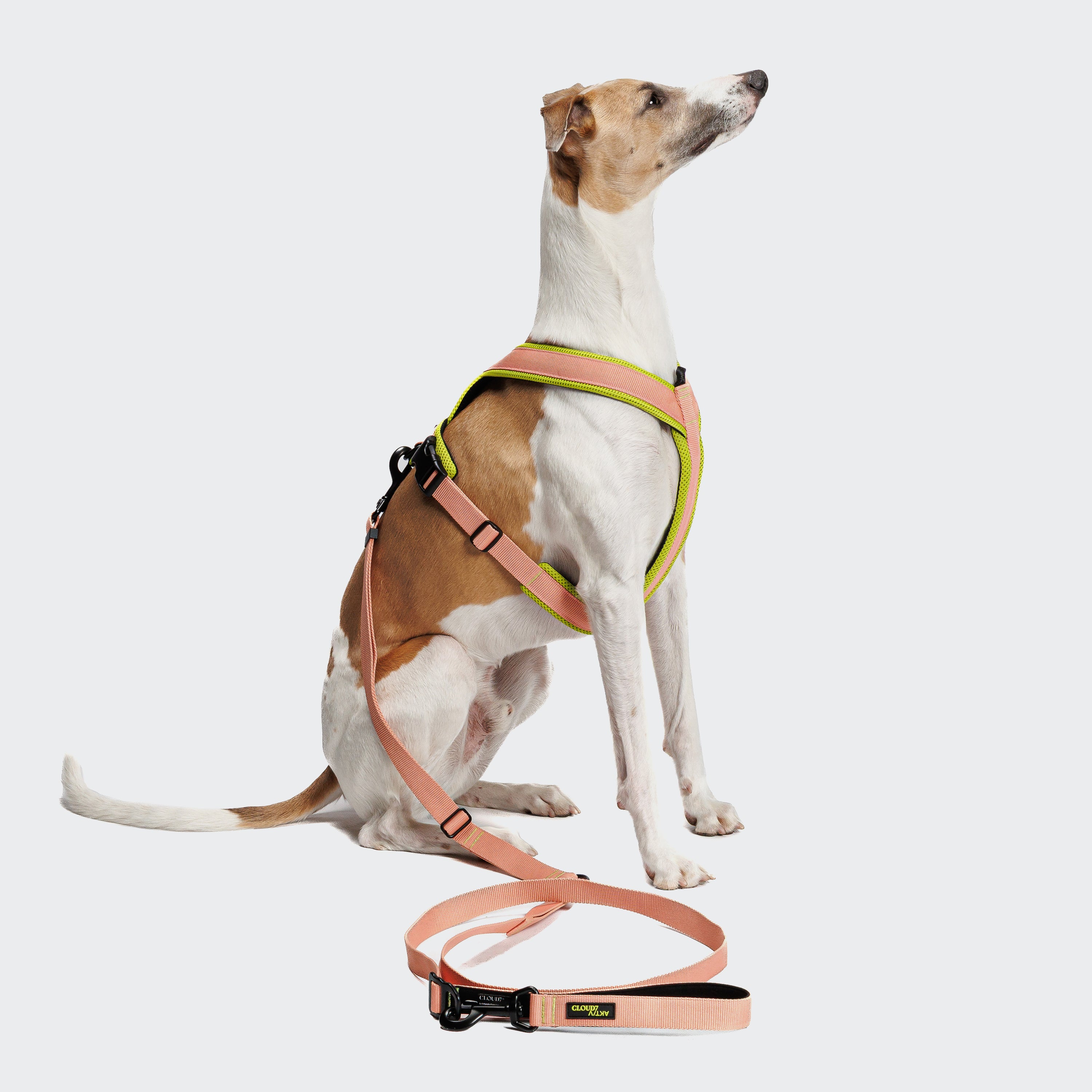 Cloud7 Y-1-Harness Peach / Neon Green
Geschirr für Hunde