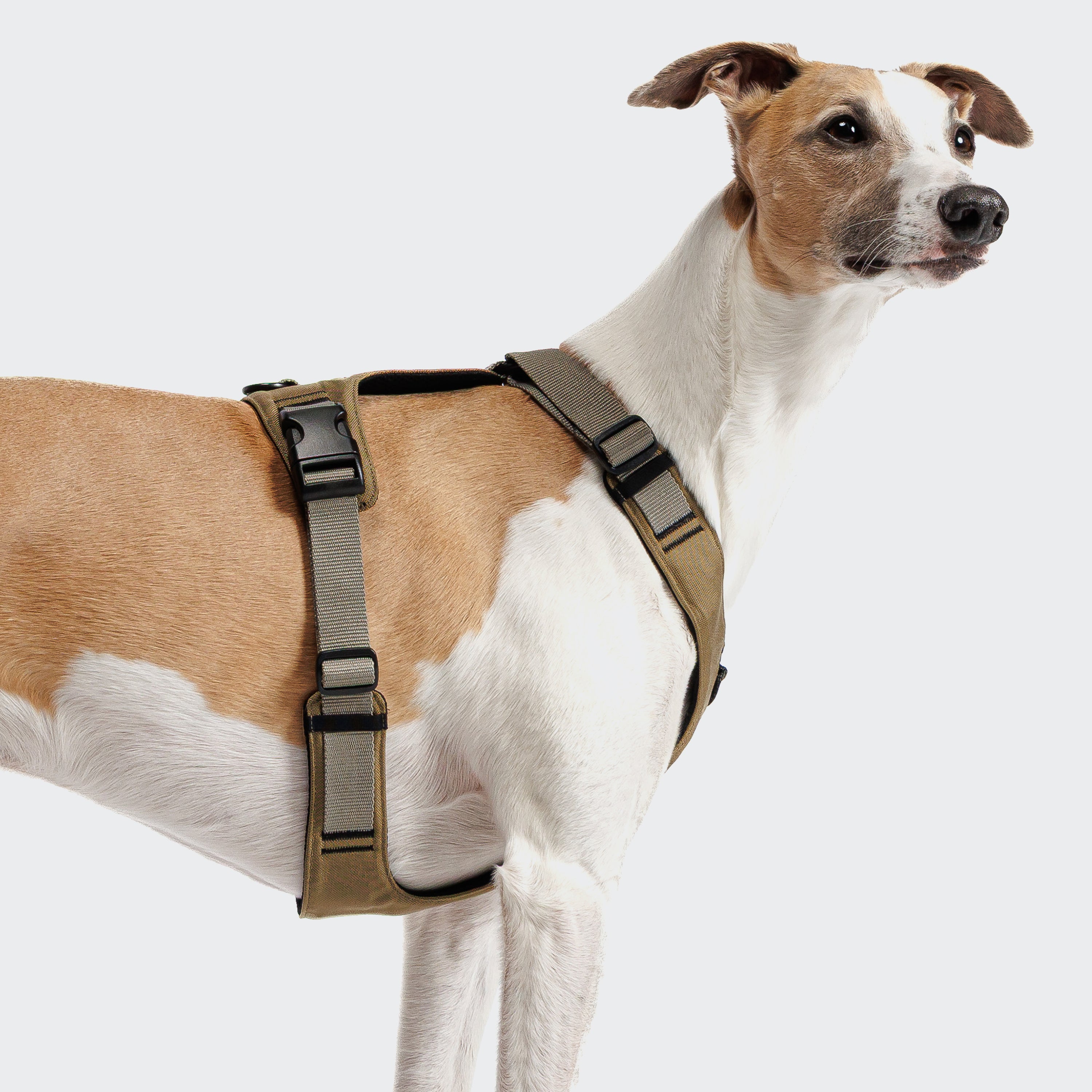 Cloud7 Y-2-Harness AKTIV Khaki / Grey Hundegeschirr Zuggeschirr