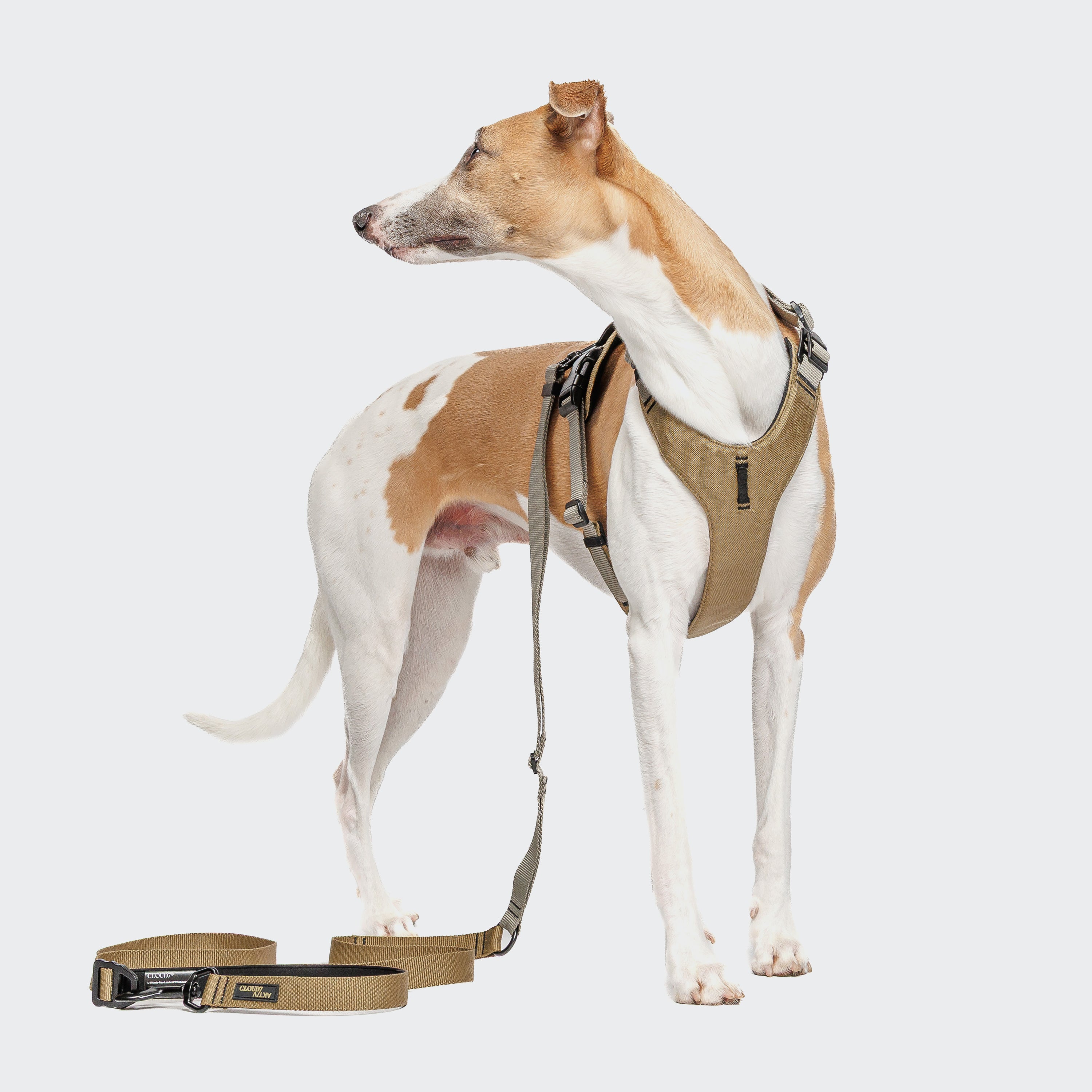 Cloud7 Y-2-Harness AKTIV Khaki / Grey Hudnegeschirr