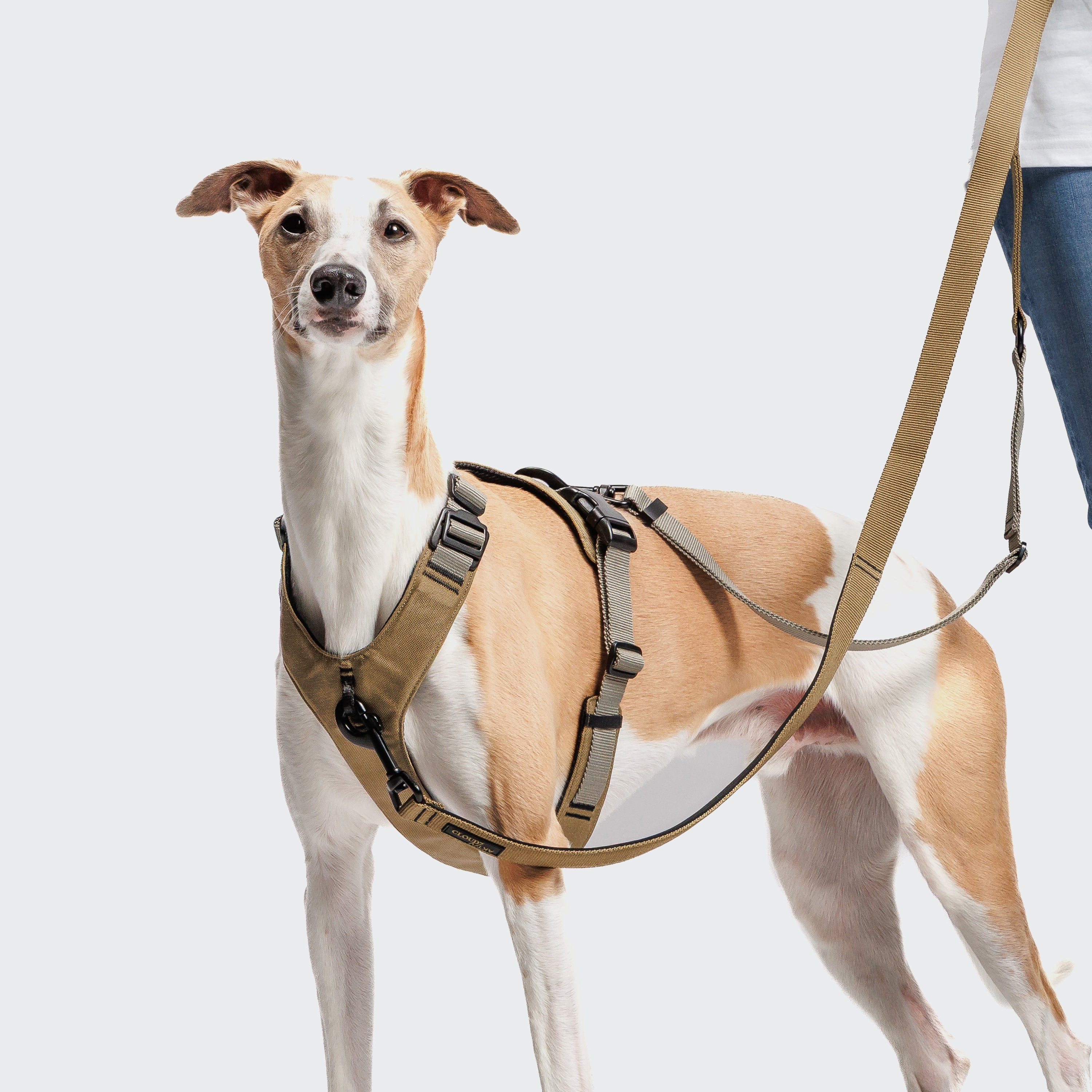 Cloud7 Y-2-Harness AKTIV Khaki / Grey Hundegeschirr Joggen mit Hund