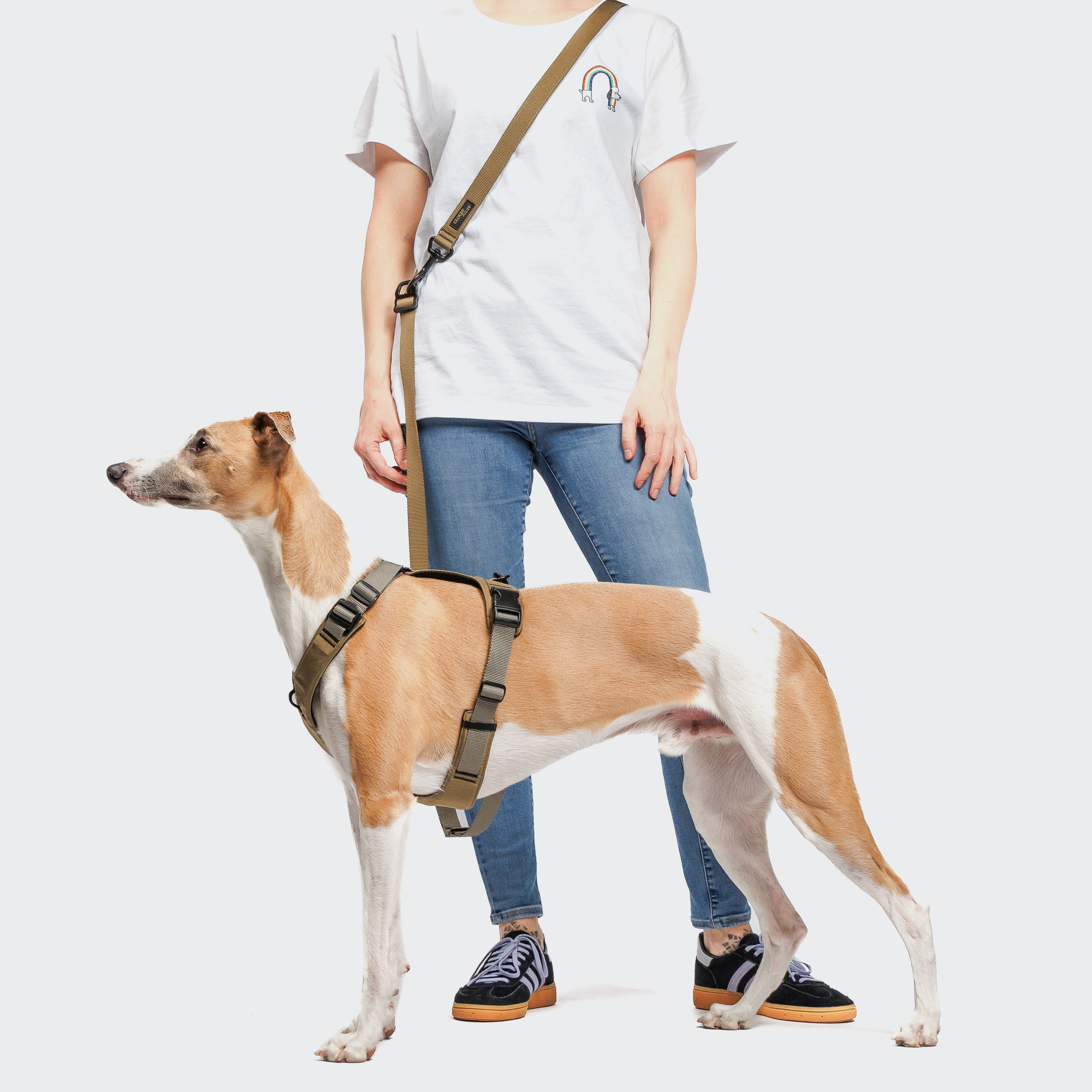 Cloud7 Y-2-Harness AKTIV Khaki / Grey Hundegeschirr Sport mit Hund