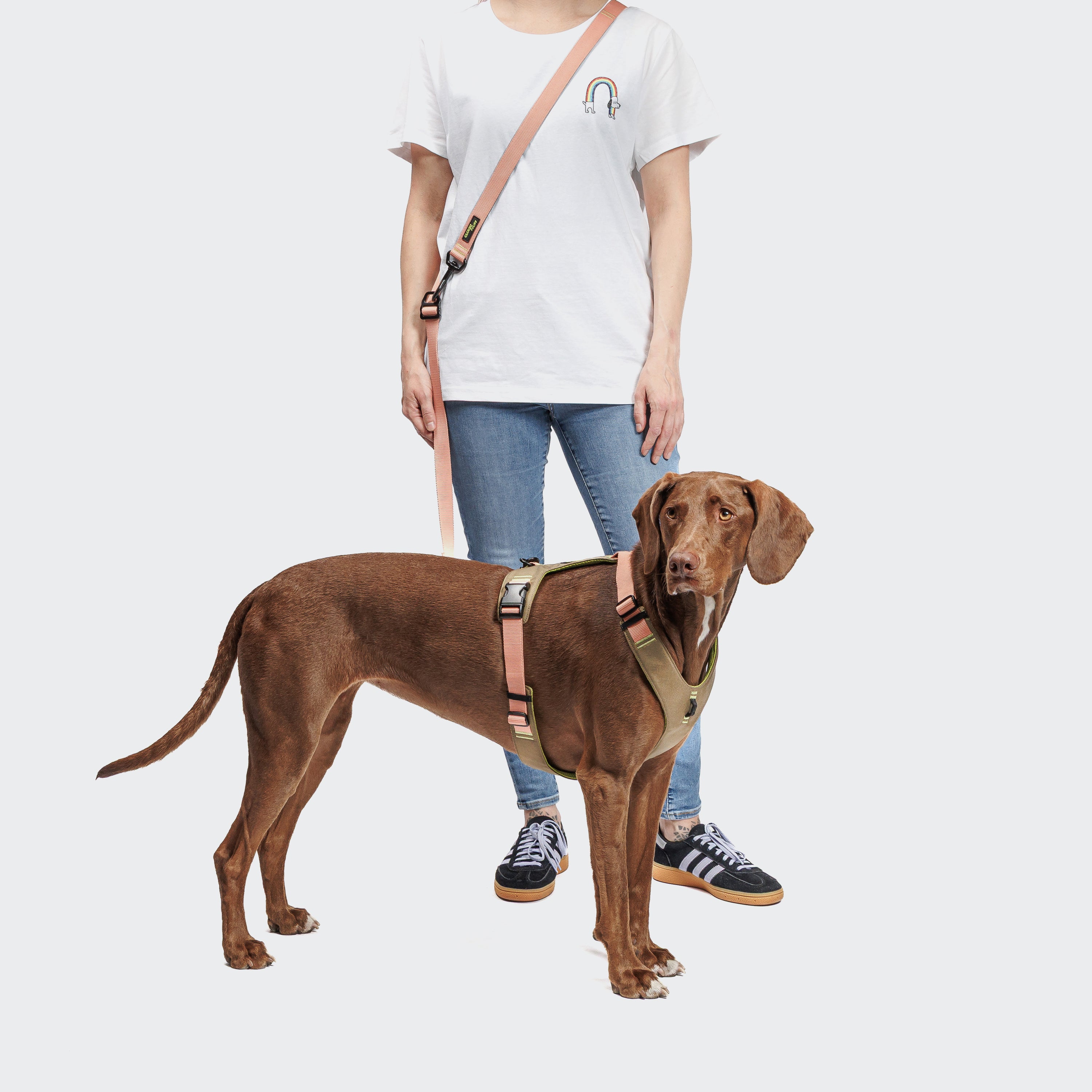Cloud7 Y-2-Harness AKTIV Khaki / Peach Hundegeschirr waschbar