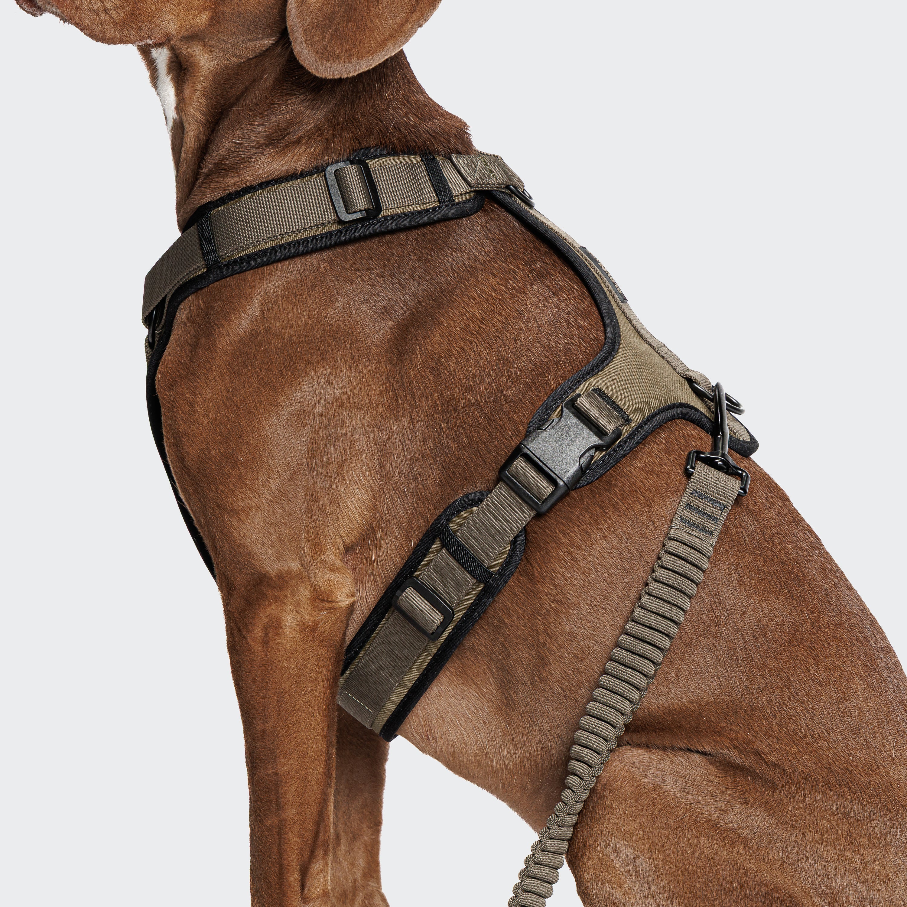 Cloud7 Y-3-Harness AKTIV Olive Geschirr für Hunde Joggingleine für Hunde