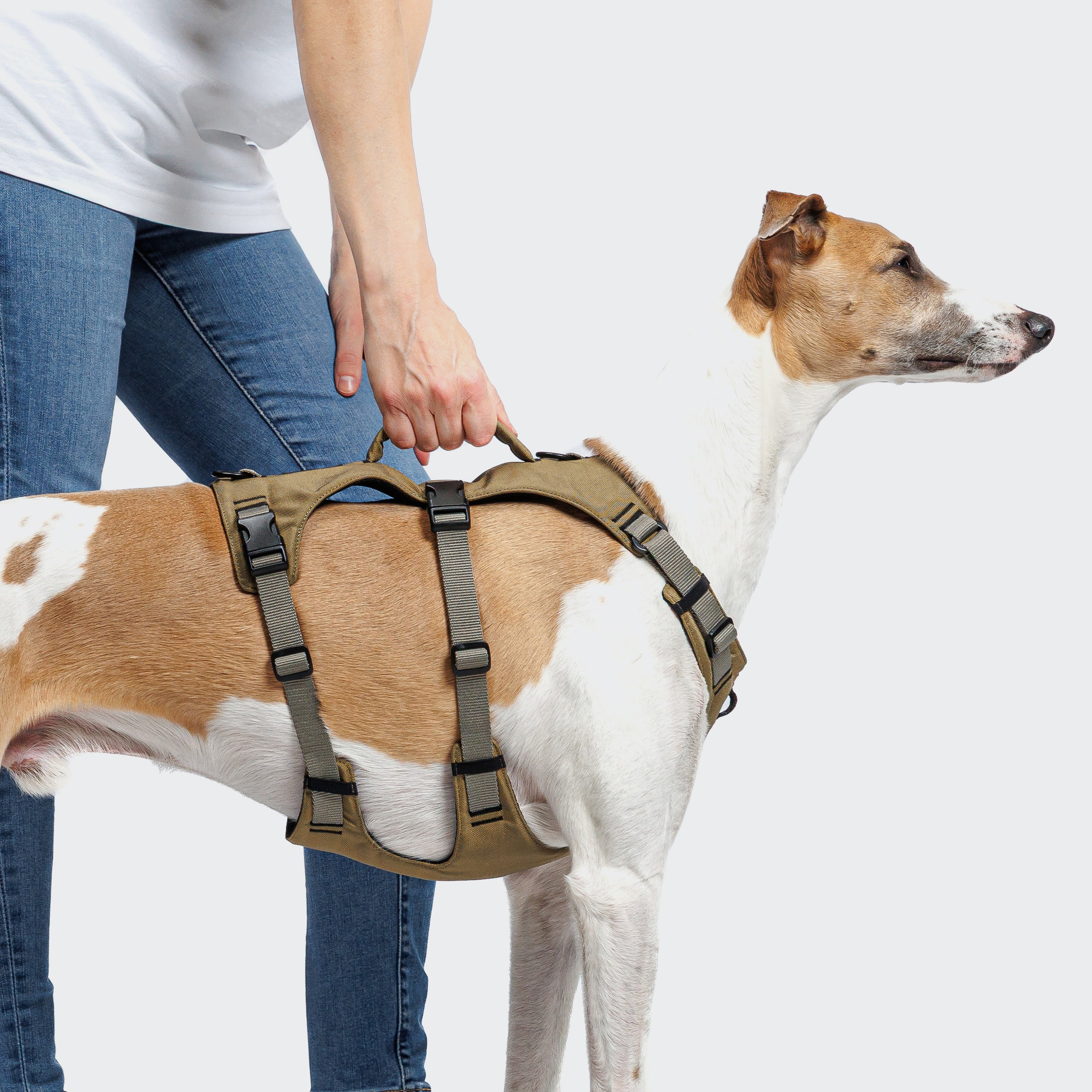 Cloud7 Y-Safe-Harness Khaki / Grey Sicherheitsgeschirr Hunde mit Griff
