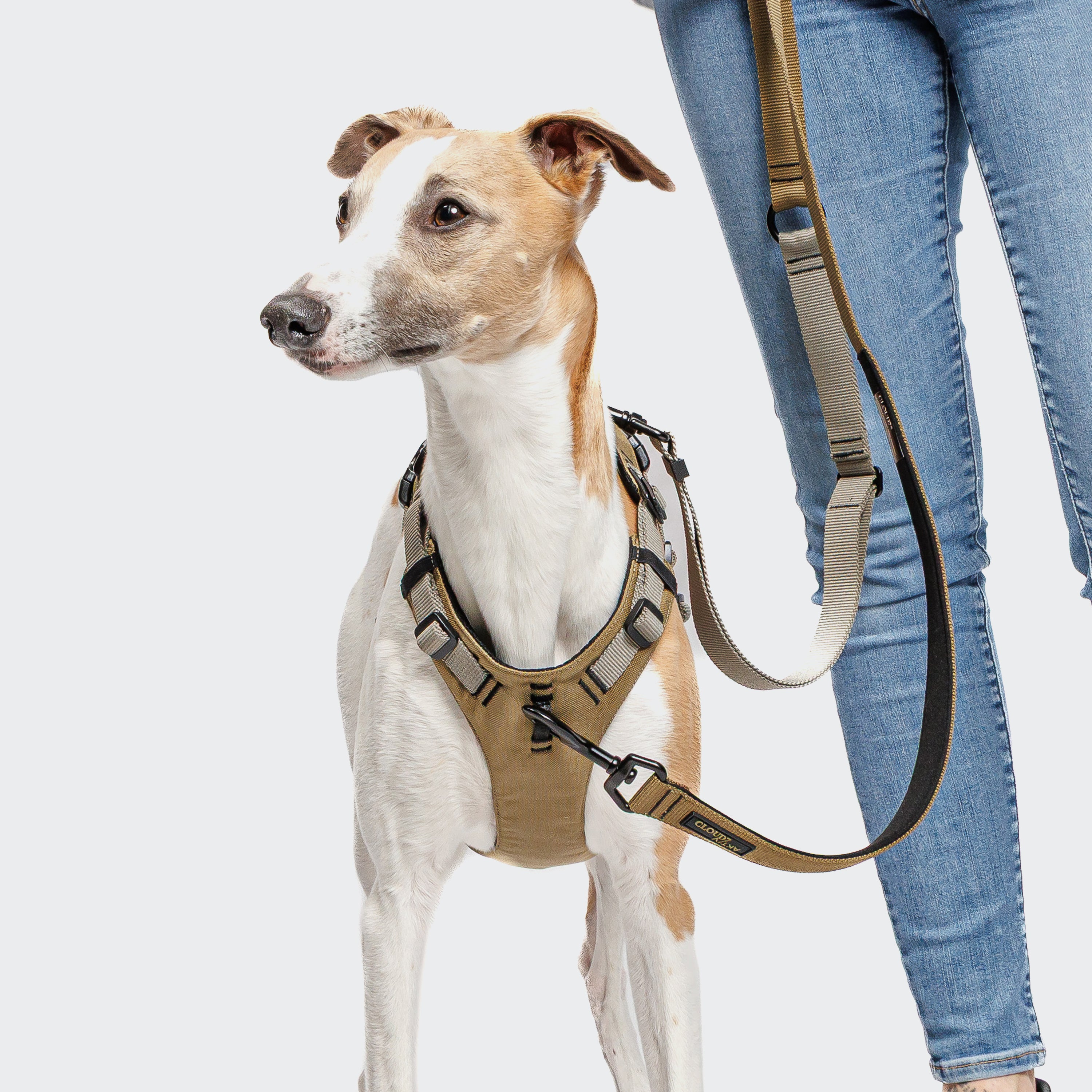 Cloud7 Y-Safe-Harness Khaki / Grey Sicherheitsgeschirr reaktiver Hund Sport mit Hund