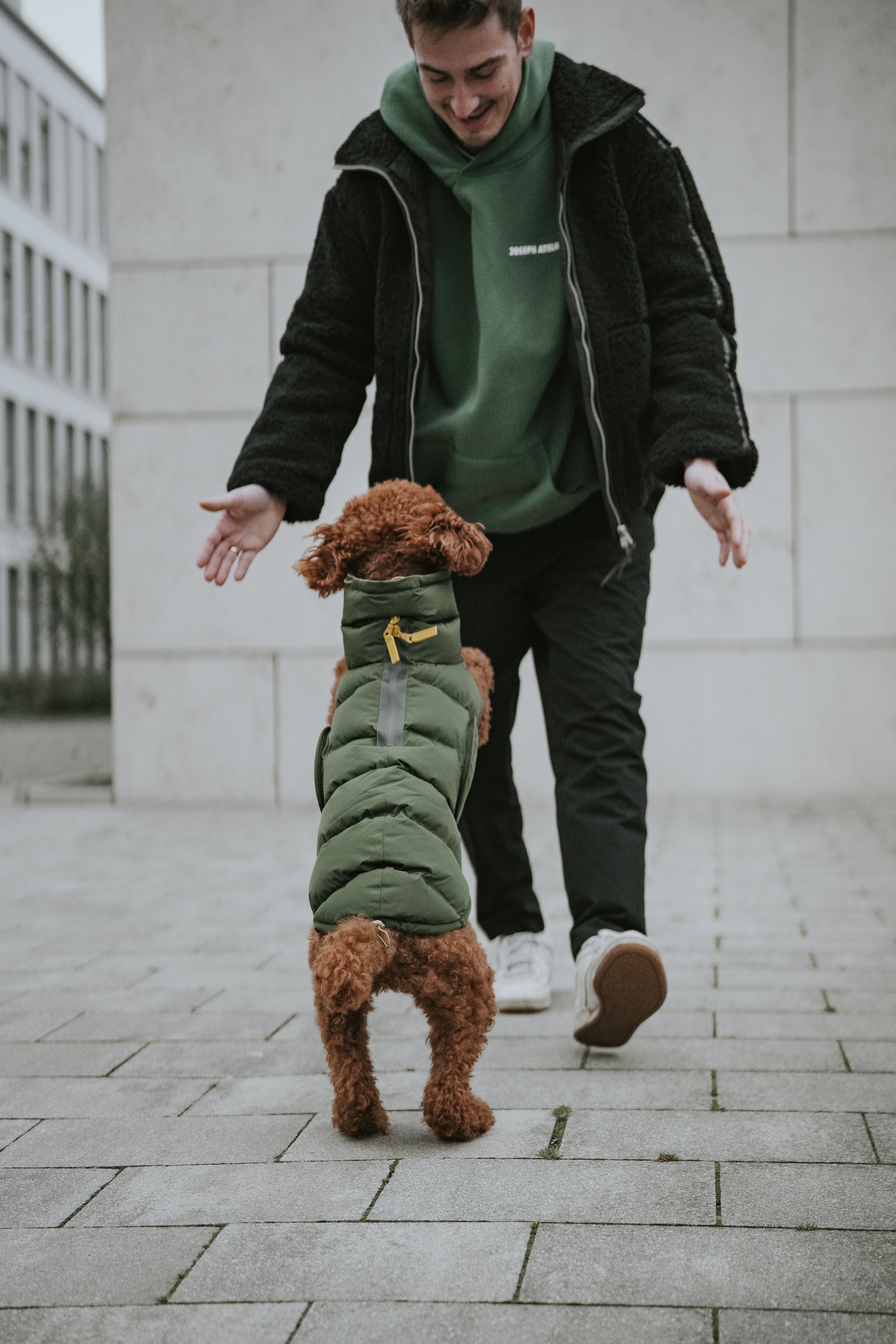 Cloud7 Hundemantel Alaska Olive Hundemantel Winter Bauchschutz