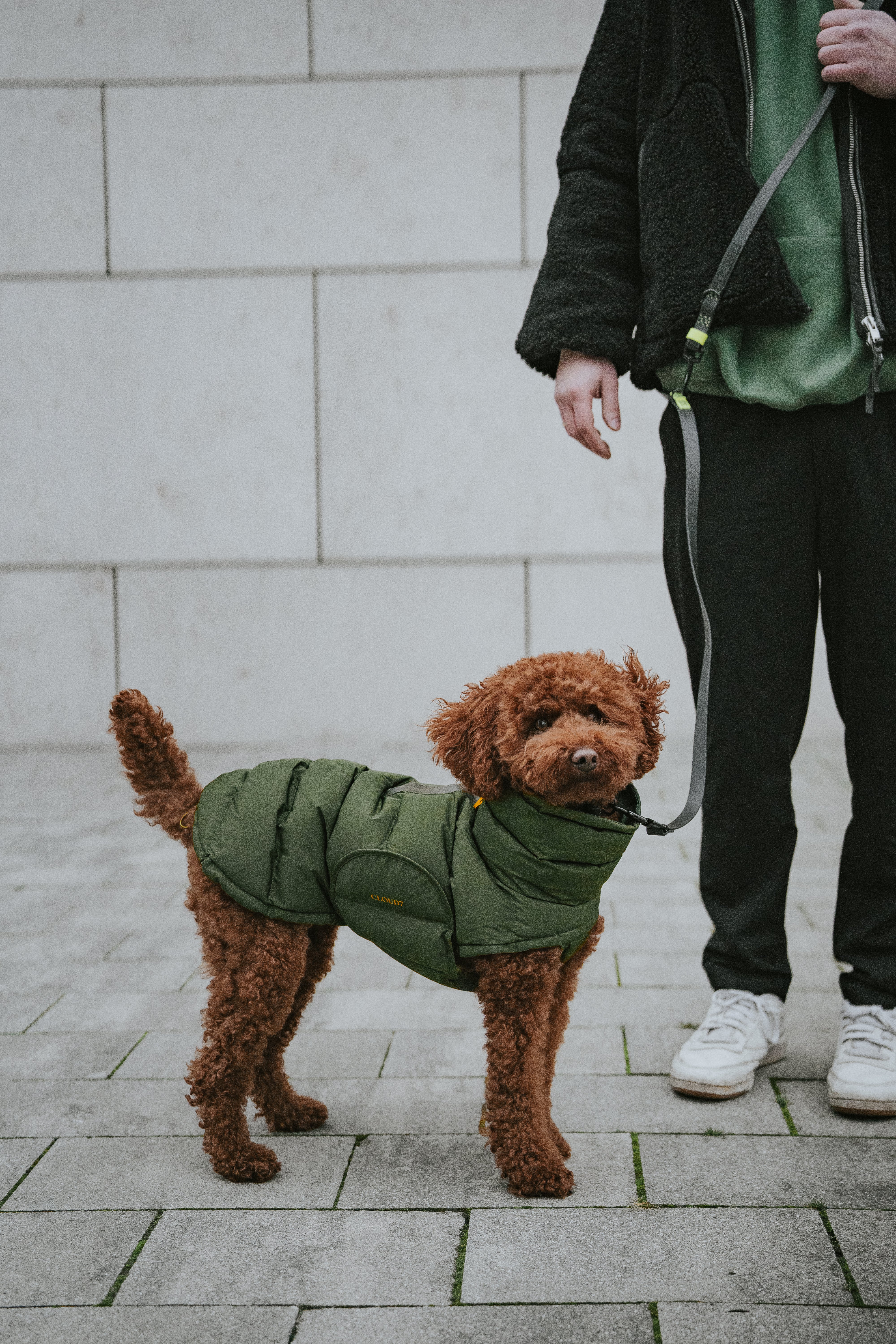 Cloud7 Hundemantel Alaska Olive Hundewintermantel Bauchschutz