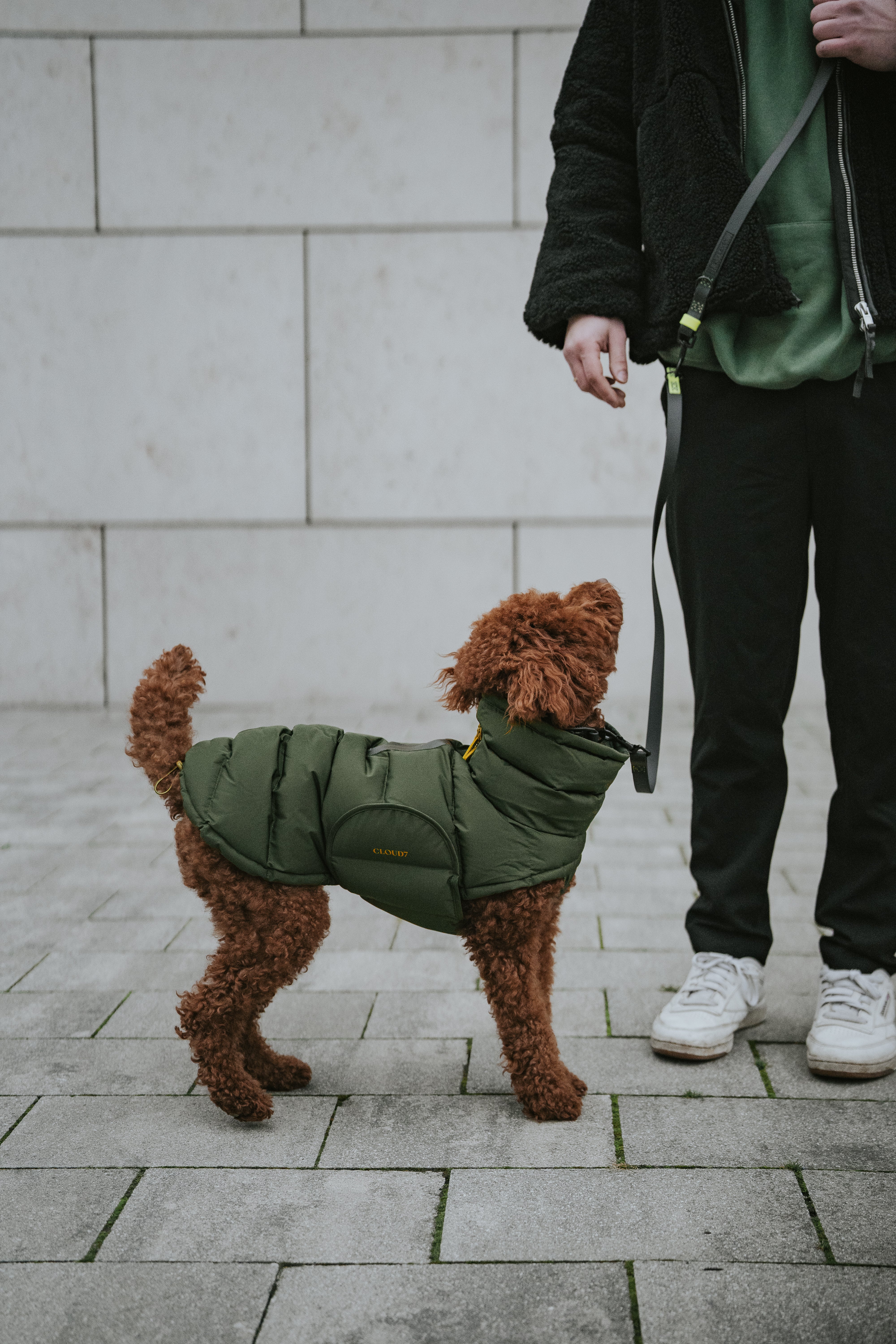 Cloud7 Hundemantel Alaska Olive Hundewintermantel für Geschirr