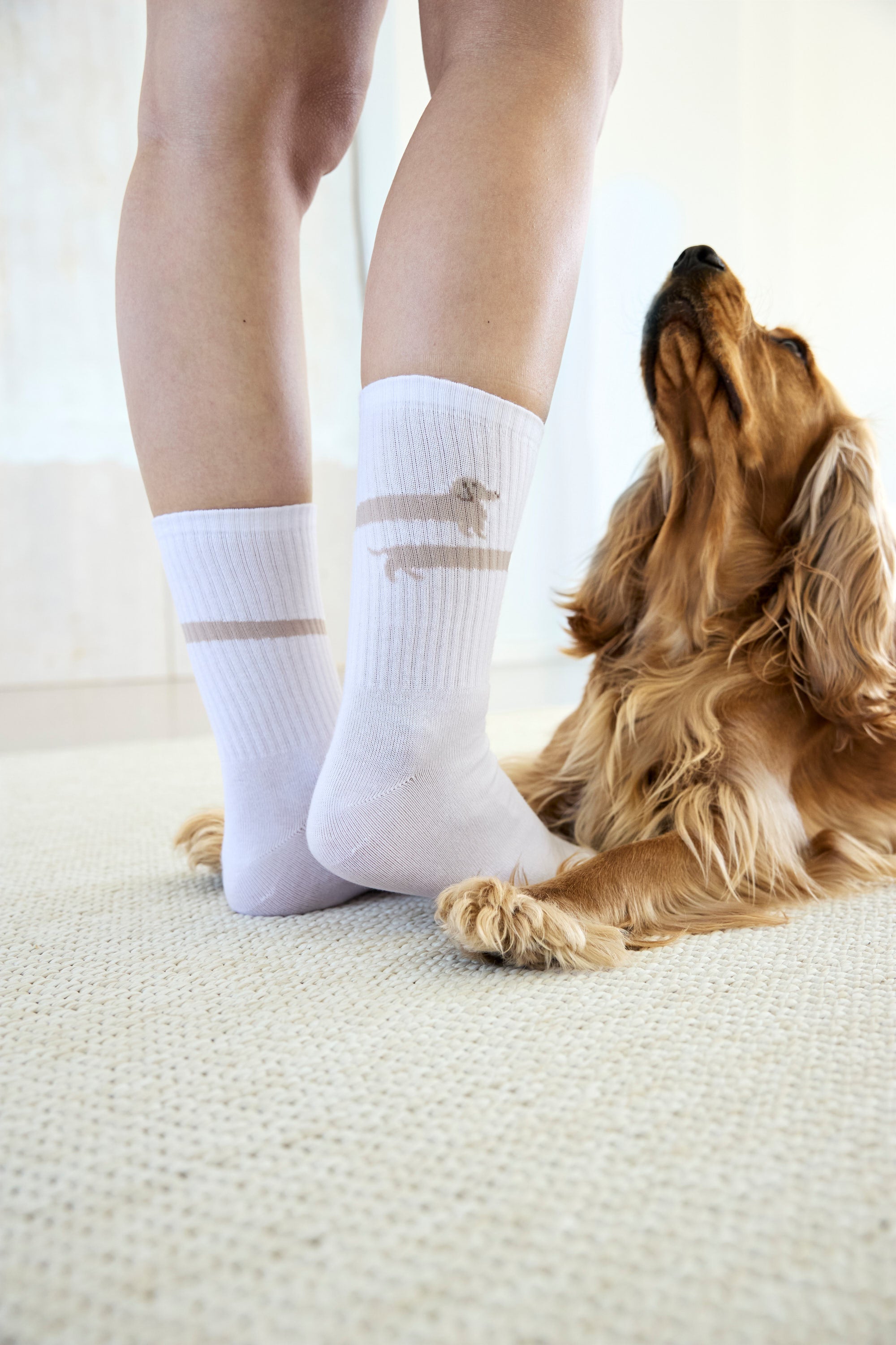 Tennis Socken GOTS Long Badger Dog