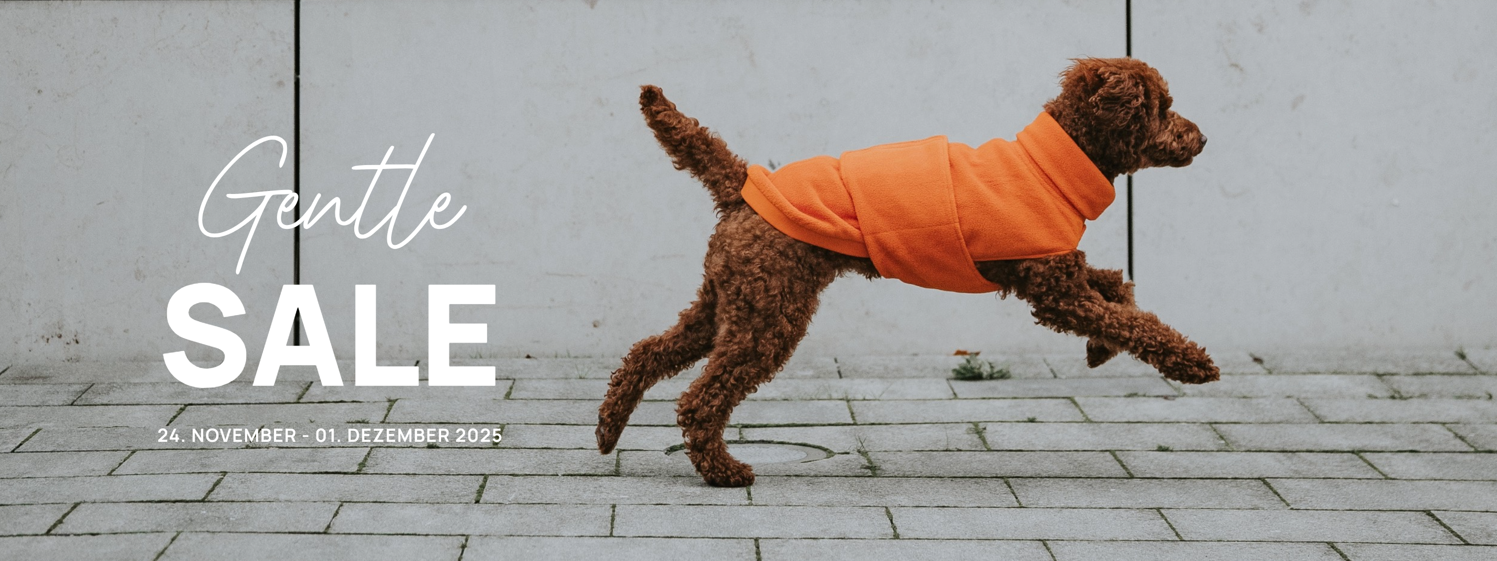 LEVEY Hundezubehör Shop für Hunde Erstausstattung Weihnachtsgeschenk Hund