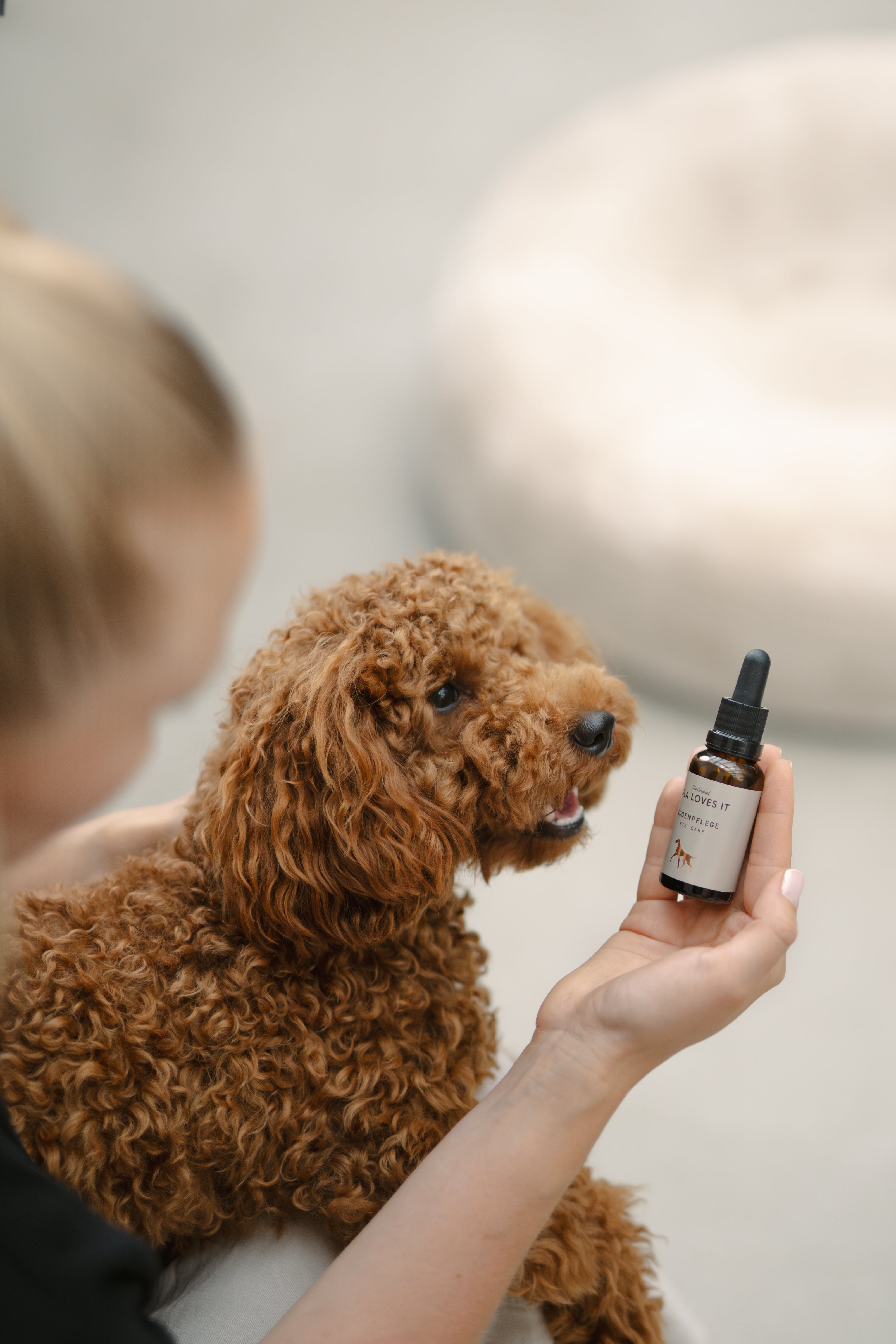 LILA LOVES IT Augenpflege Augenpflege für Hunde Reinigung Auge Hund